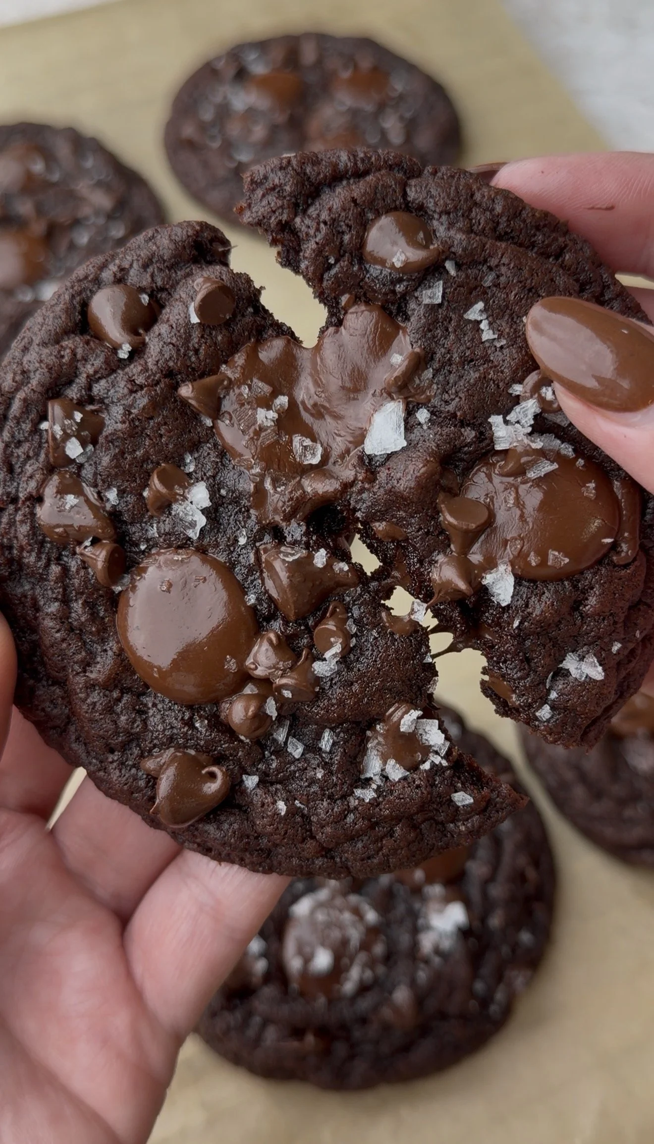 Double Chocolate Banana Cookies