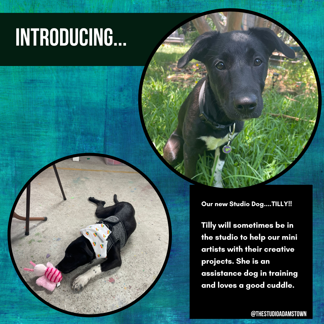 Introducing...TIlly pg 1.png