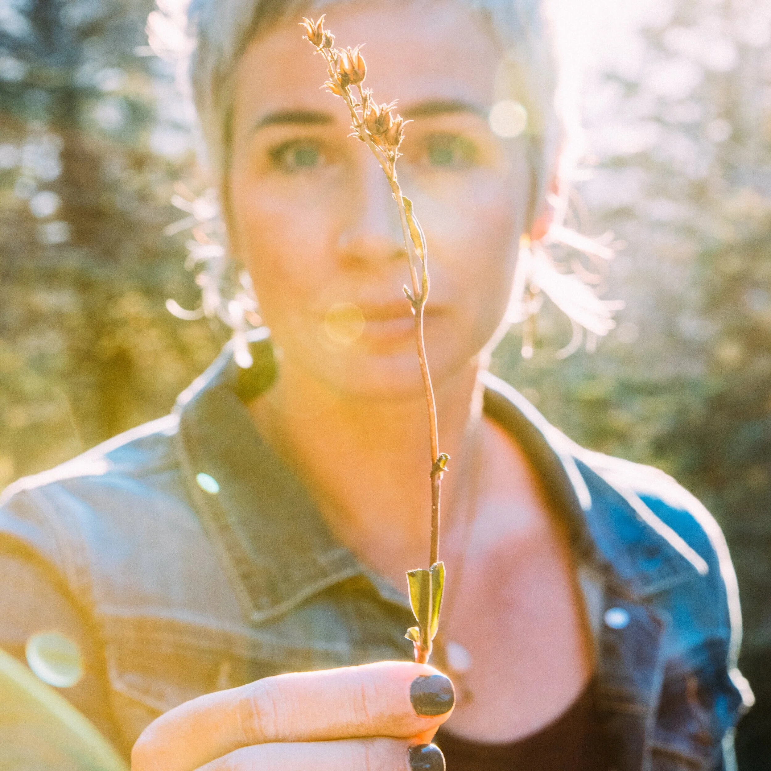 A woman holding a small branch with dried flowers close to the camera, with sunlight creating a warm glow and lens flare.