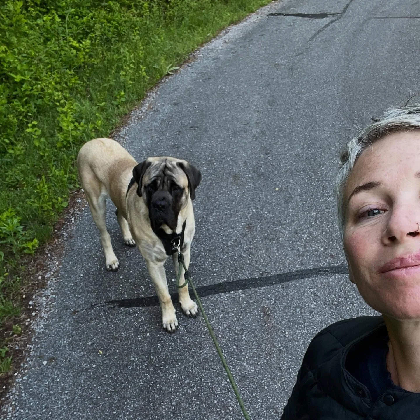 Morning walks with Otis. I always wanted a dog that needed a daily walk, and well &mdash; here he is. We&rsquo;re not great at 9+ months, walking beyond our own neighborhood quite yet, even though mom &amp; dad try. He&rsquo;s huge &mdash; and having