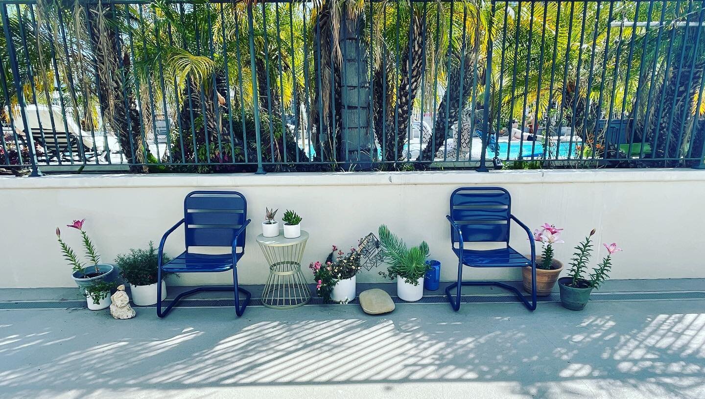 My LA dream garden - not a terrible thing to see from the front door. Supported by neighbor&rsquo;s succulent cuttings and my temporary lilies (I&rsquo;m a lily babysitter now). #dtla #urbangarden #rooftop #roofgarden #targetchairsduh