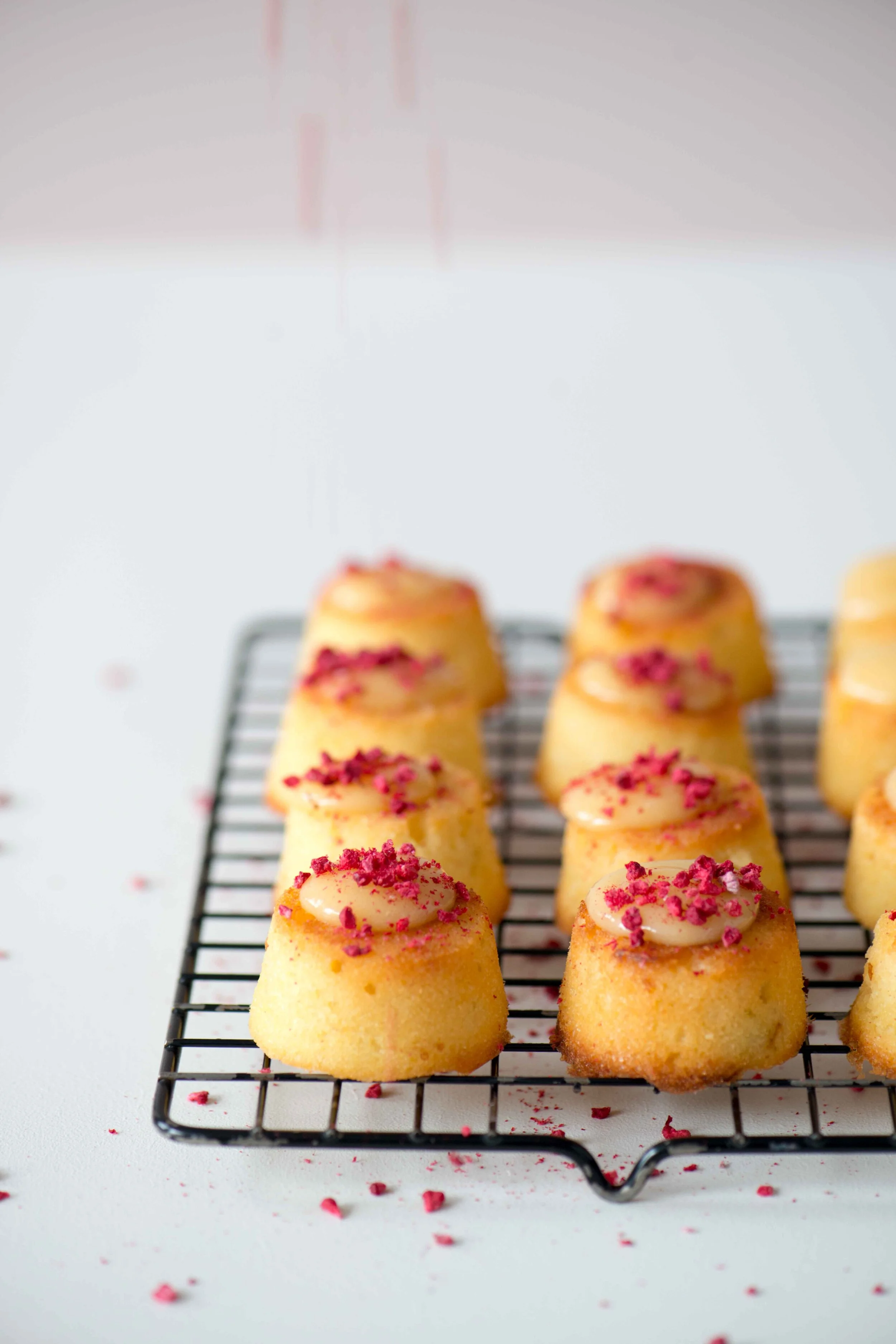 Mini cheesecake cupcakes topped with pink sprinkles on a cooling rack.