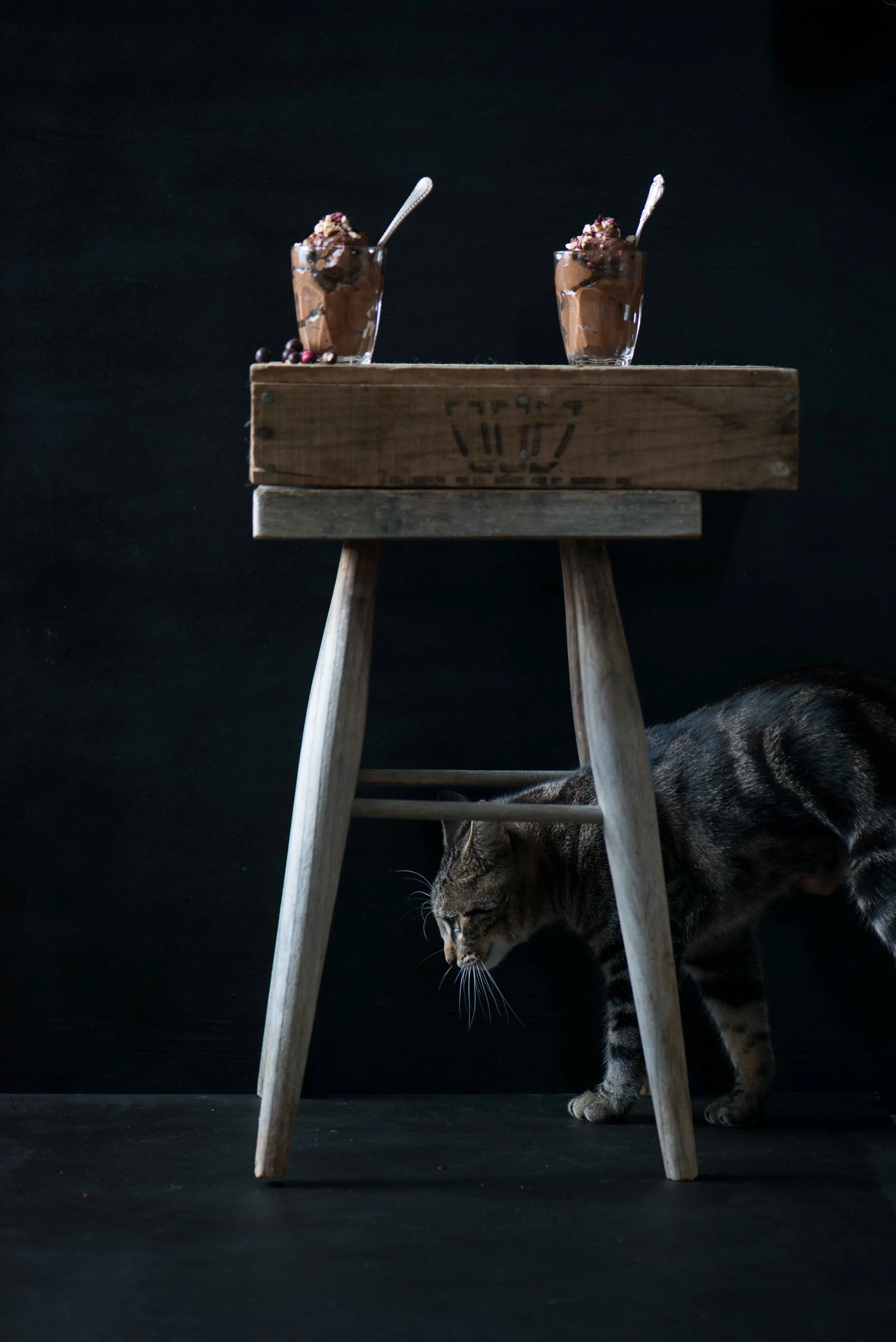 Two glasses of chocolate mousse topped with whipped cream and berries on a wooden stool, with a curious tabby cat sniffing the floor underneath.