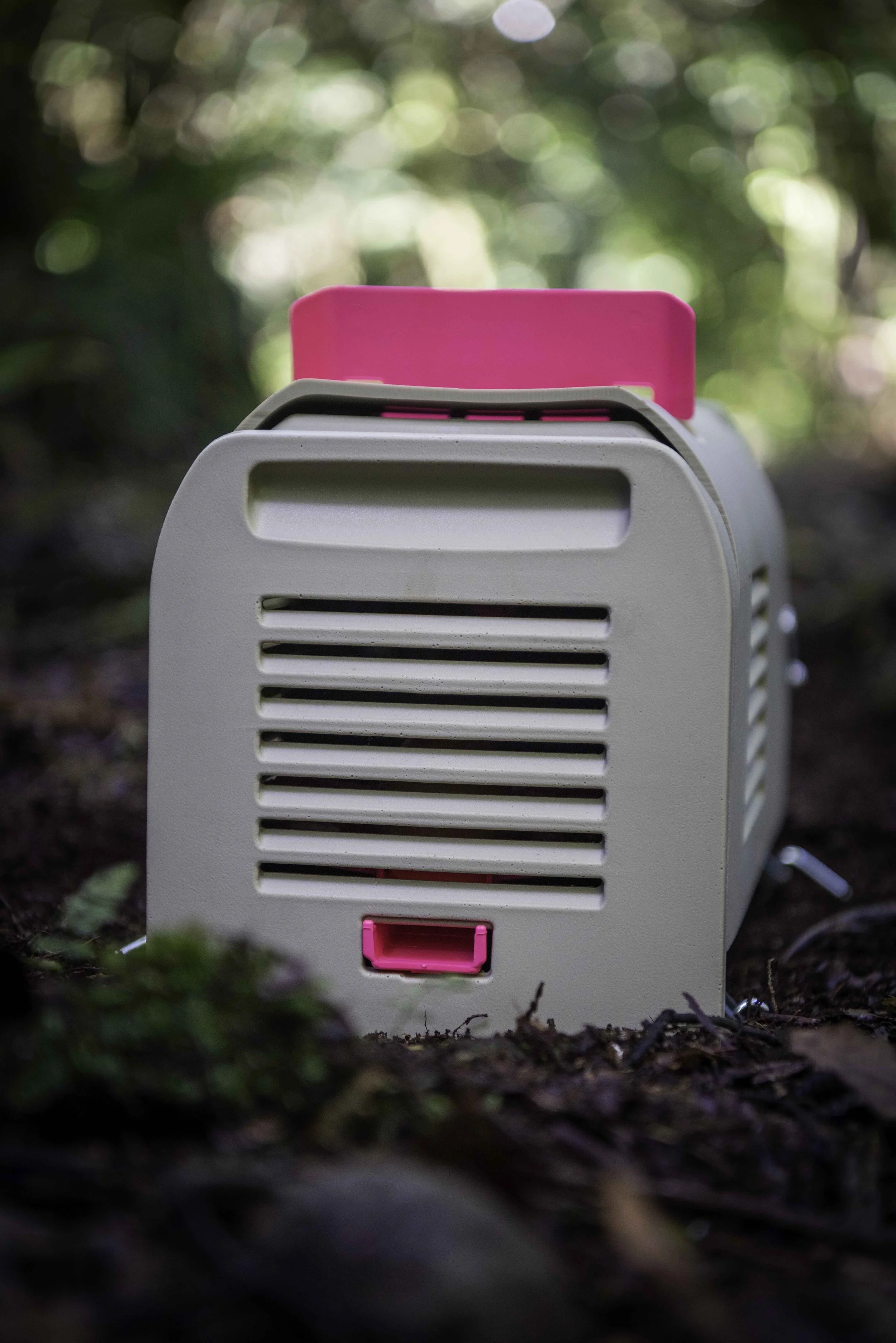 A predator trap is set up on the forest floor.