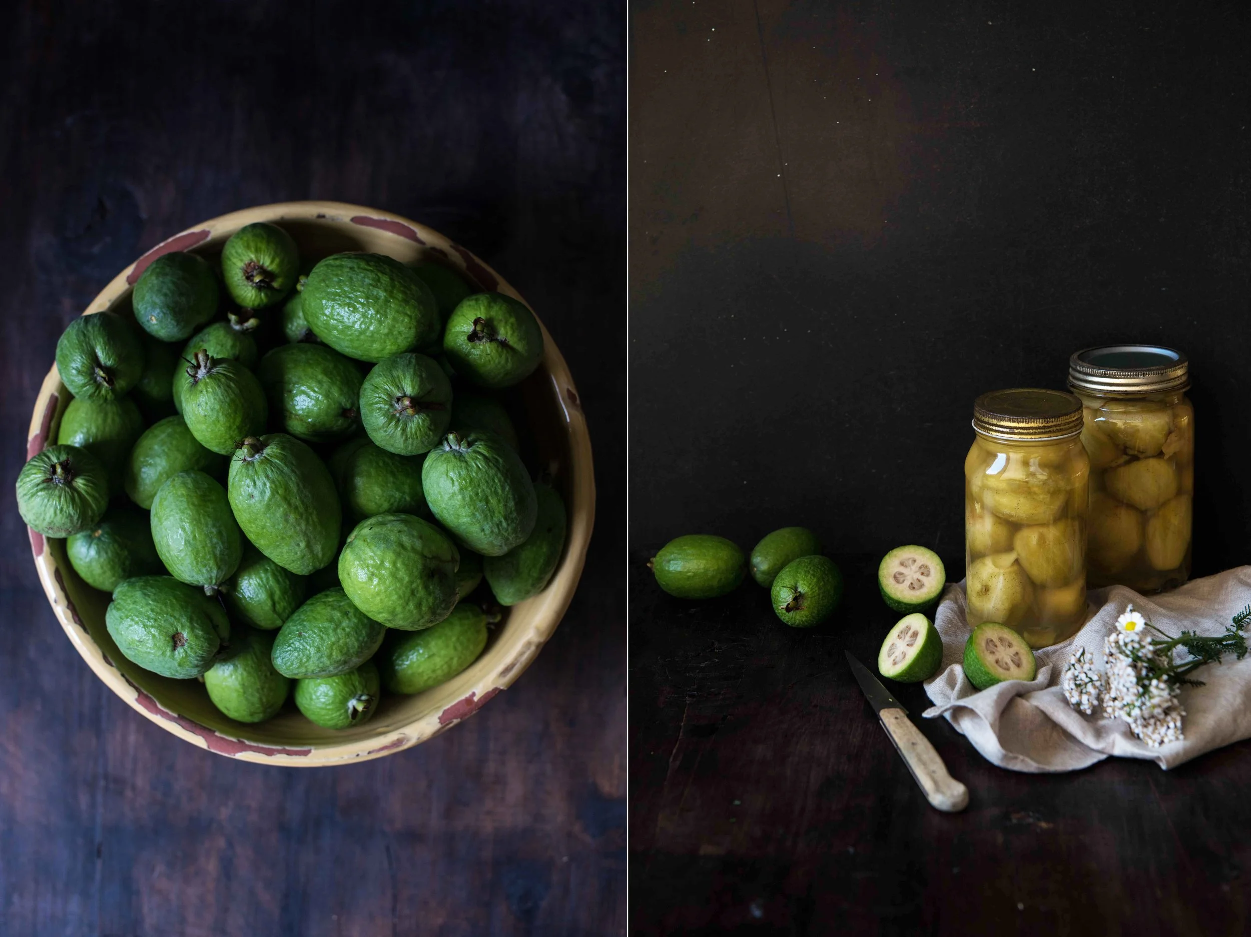 A Whisper of Winter and Our Eleven Feijoa Trees.