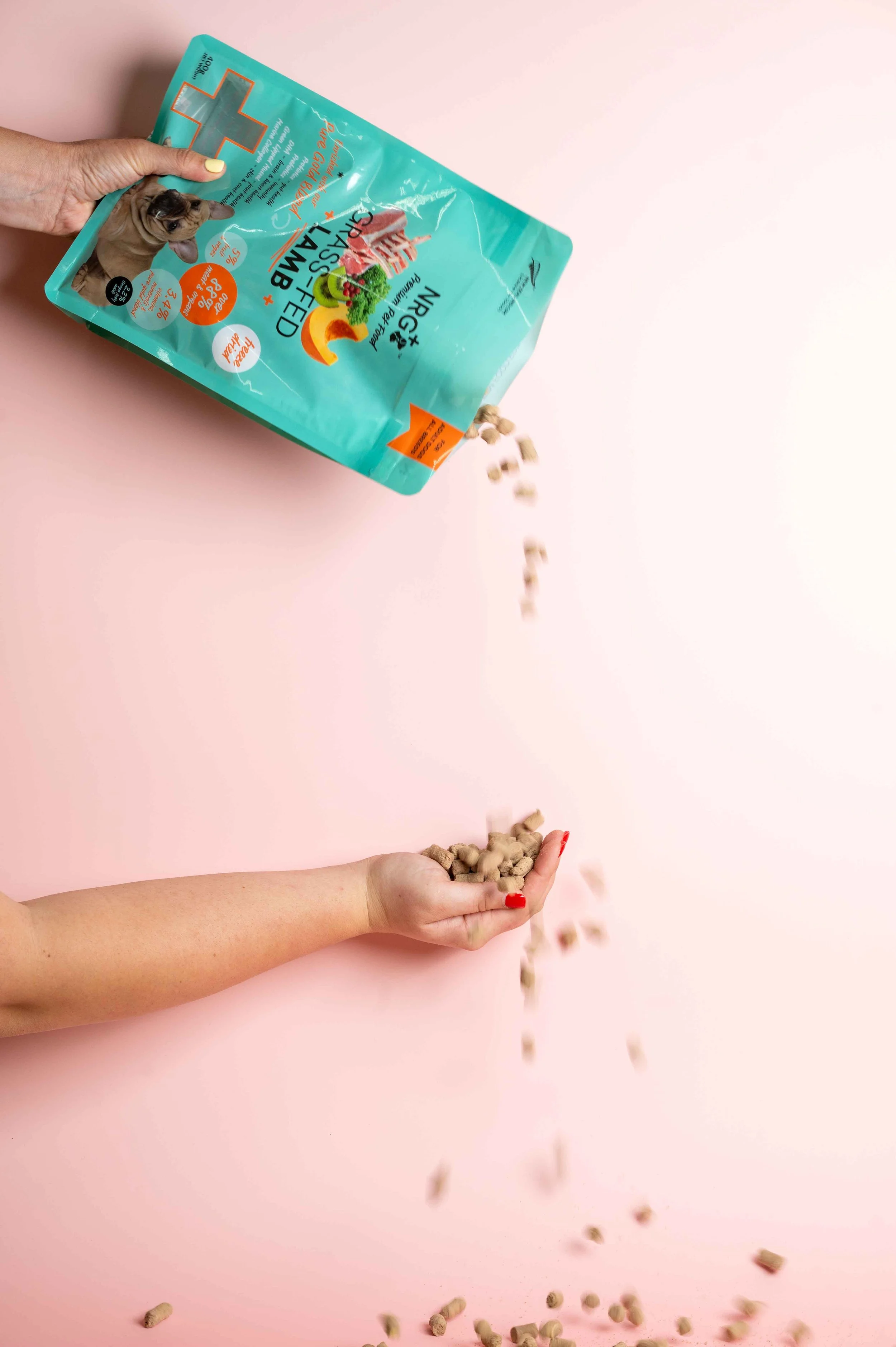 A person with red-painted nails holds a handful of dry pet food, while another hand pours more dry pet food from a teal-colored bag onto the hand, against a pink background. For NRG+ Dog and Cat food.