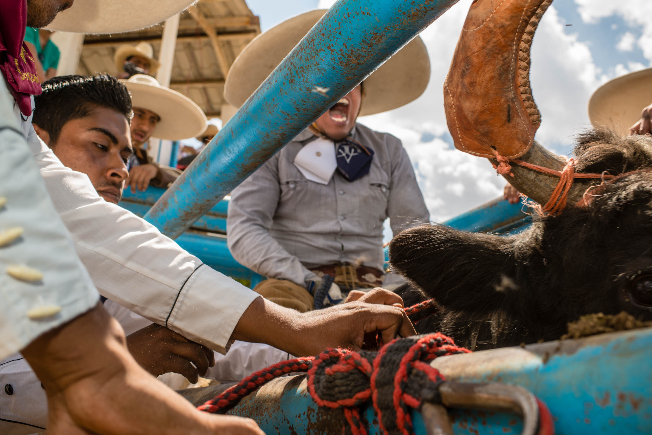 anja_bruehling_charros-2.jpg