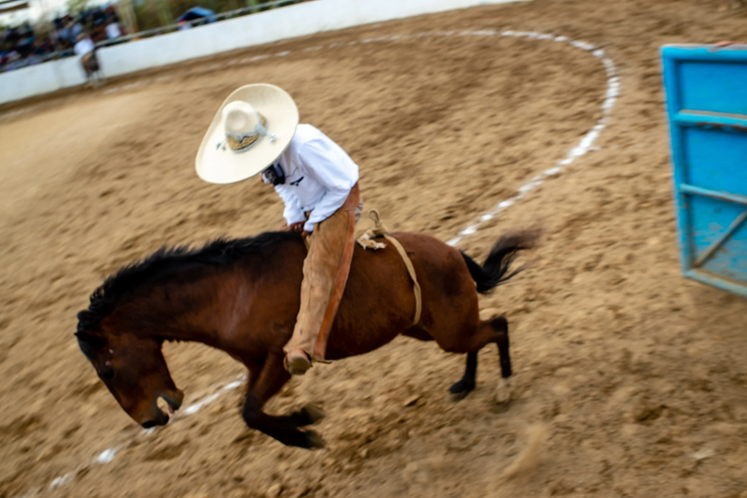 anja_bruehling_charros-4.jpg