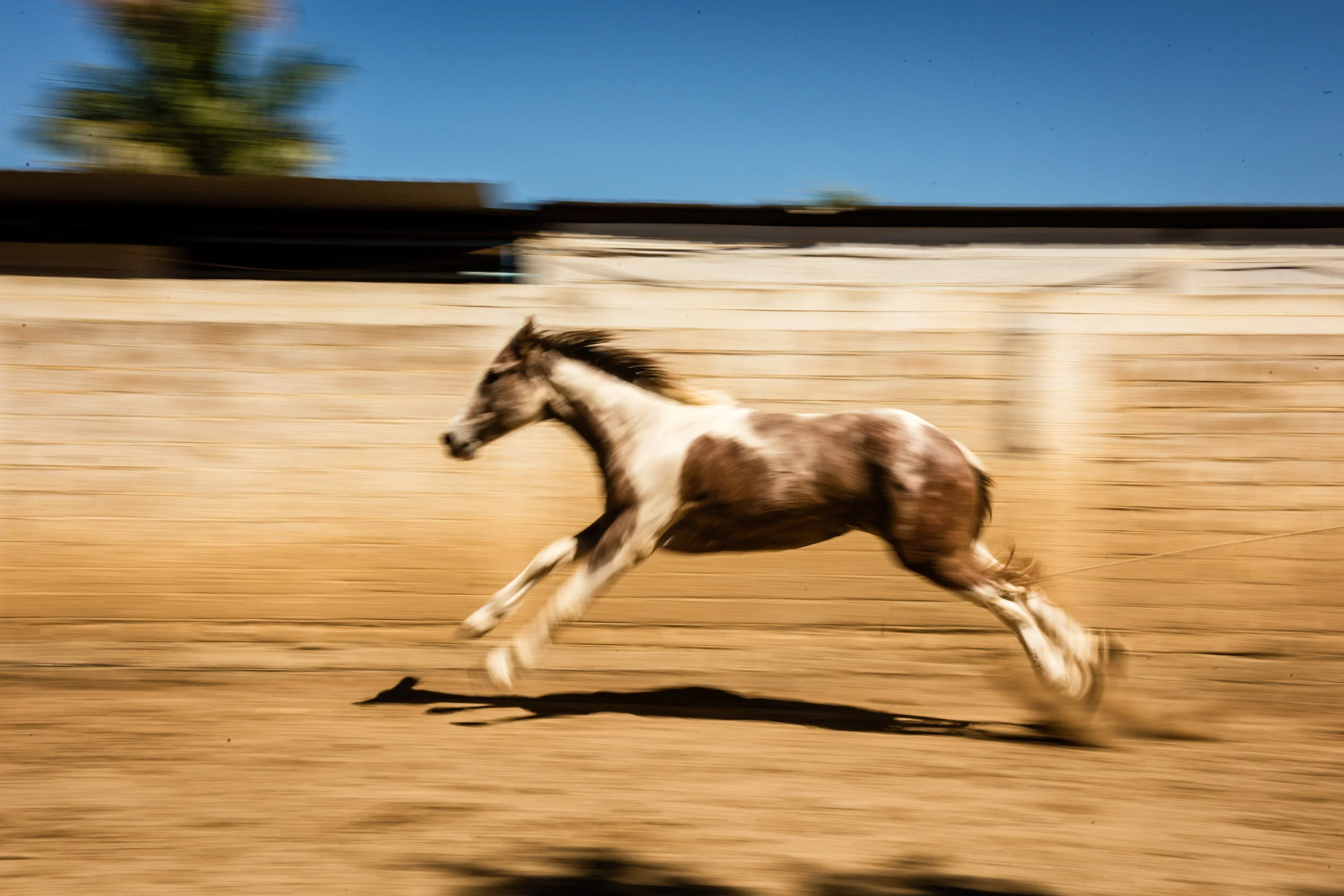 anja_bruehling_charros-10.jpg