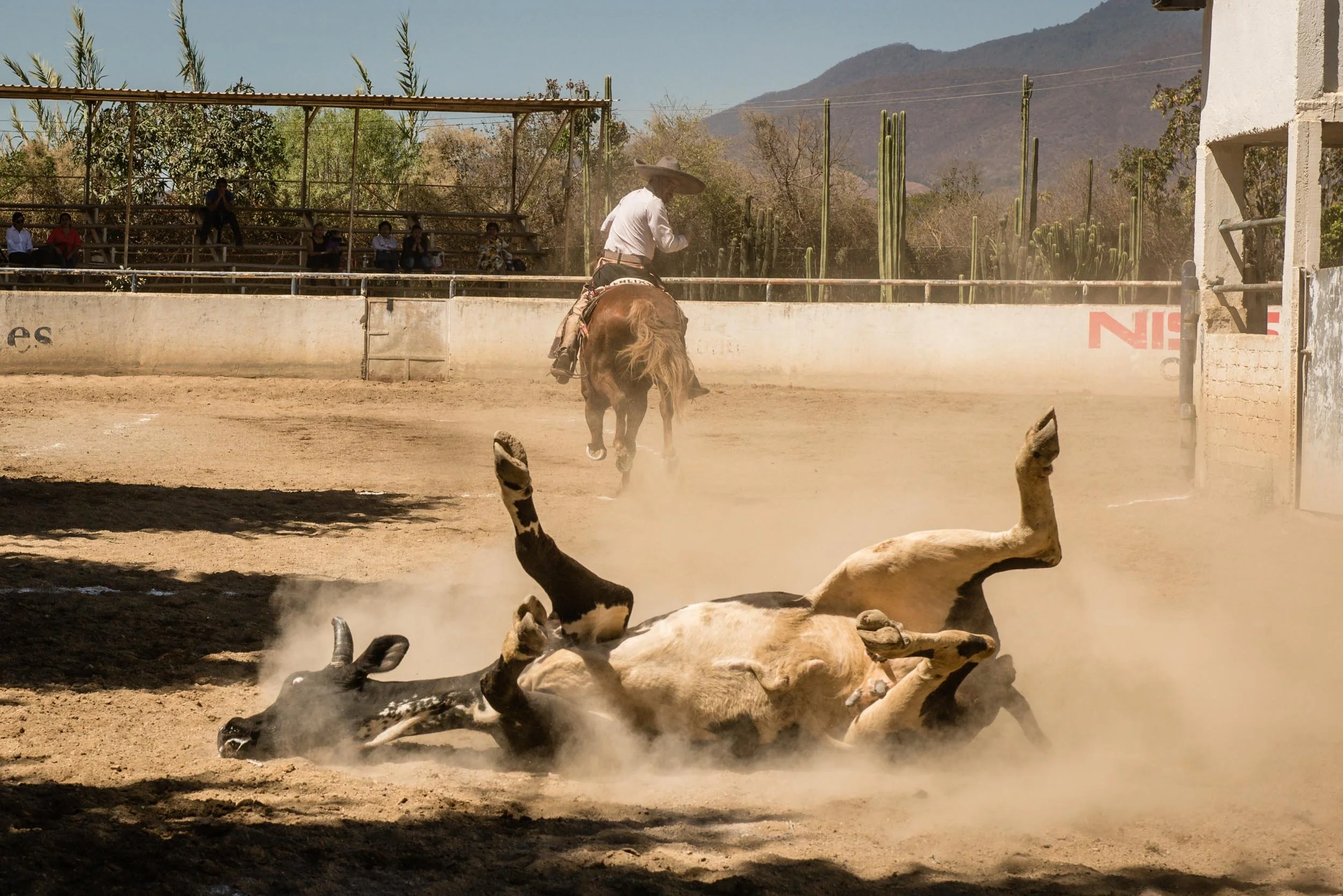 anja_bruehling_charros-11.jpg