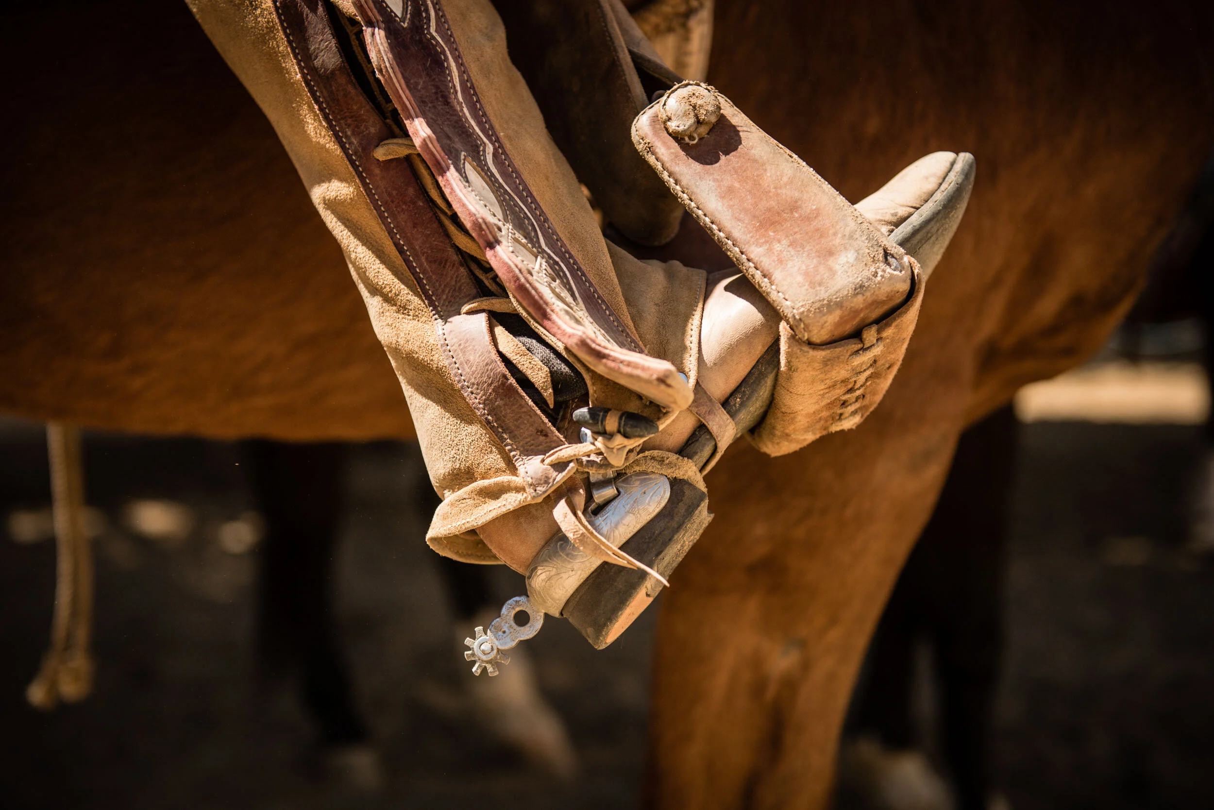 anja_bruehling_charros-12.jpg