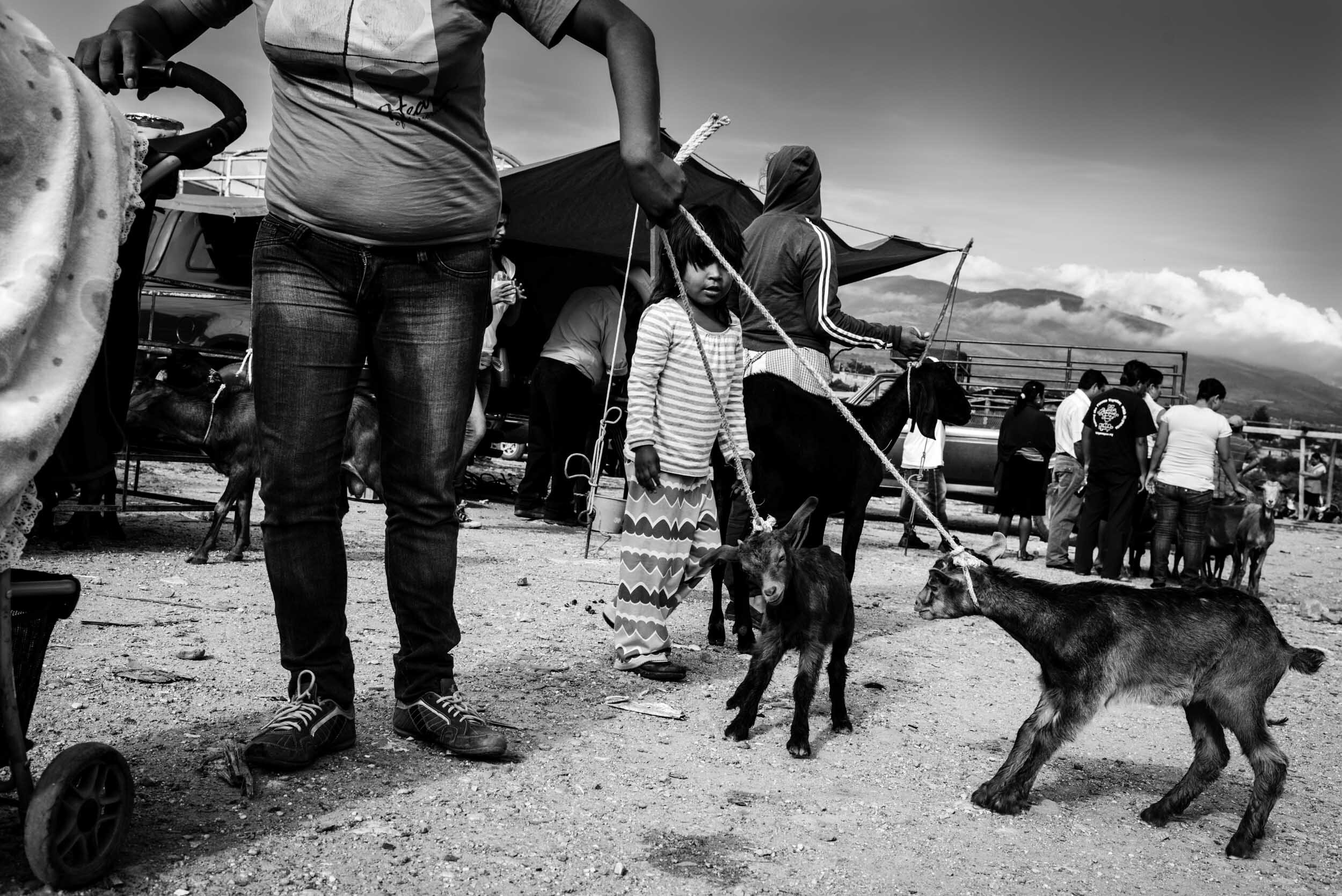 anja_bruehling_Oaxaca-15.jpg