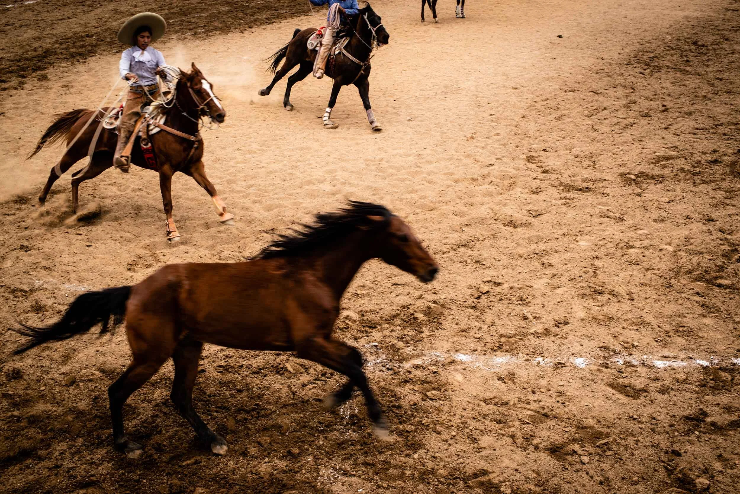 anja_bruehling_charros-3.jpg