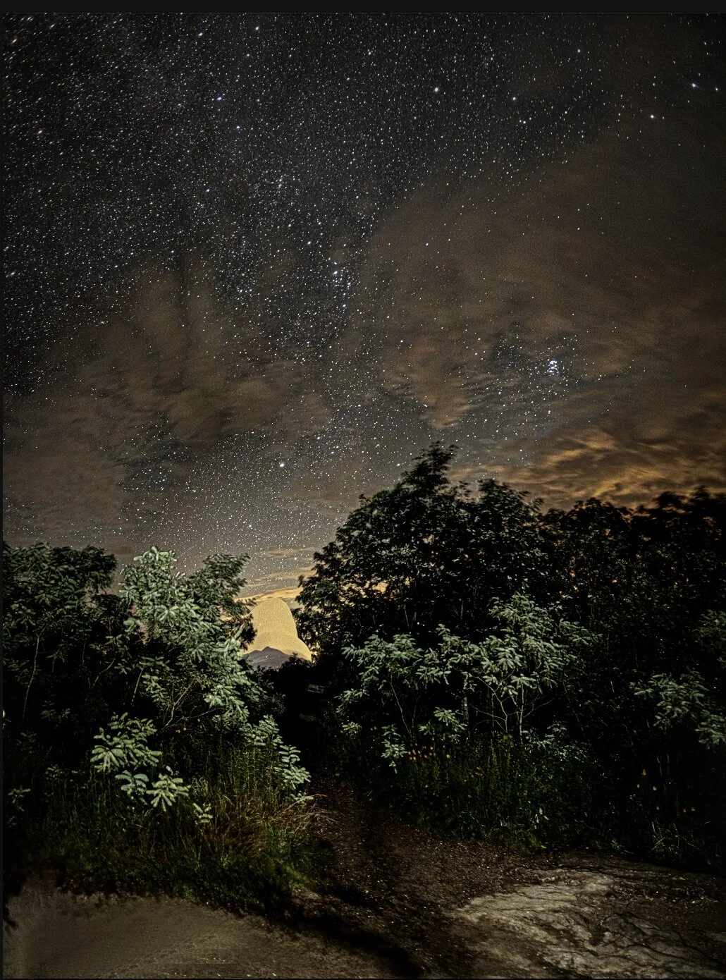 Screen Shot 2020-07-26 at 7.02.48 PM.jpeg