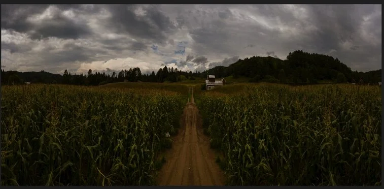 Image 8-25-20 at 11.23 PM.jpeg