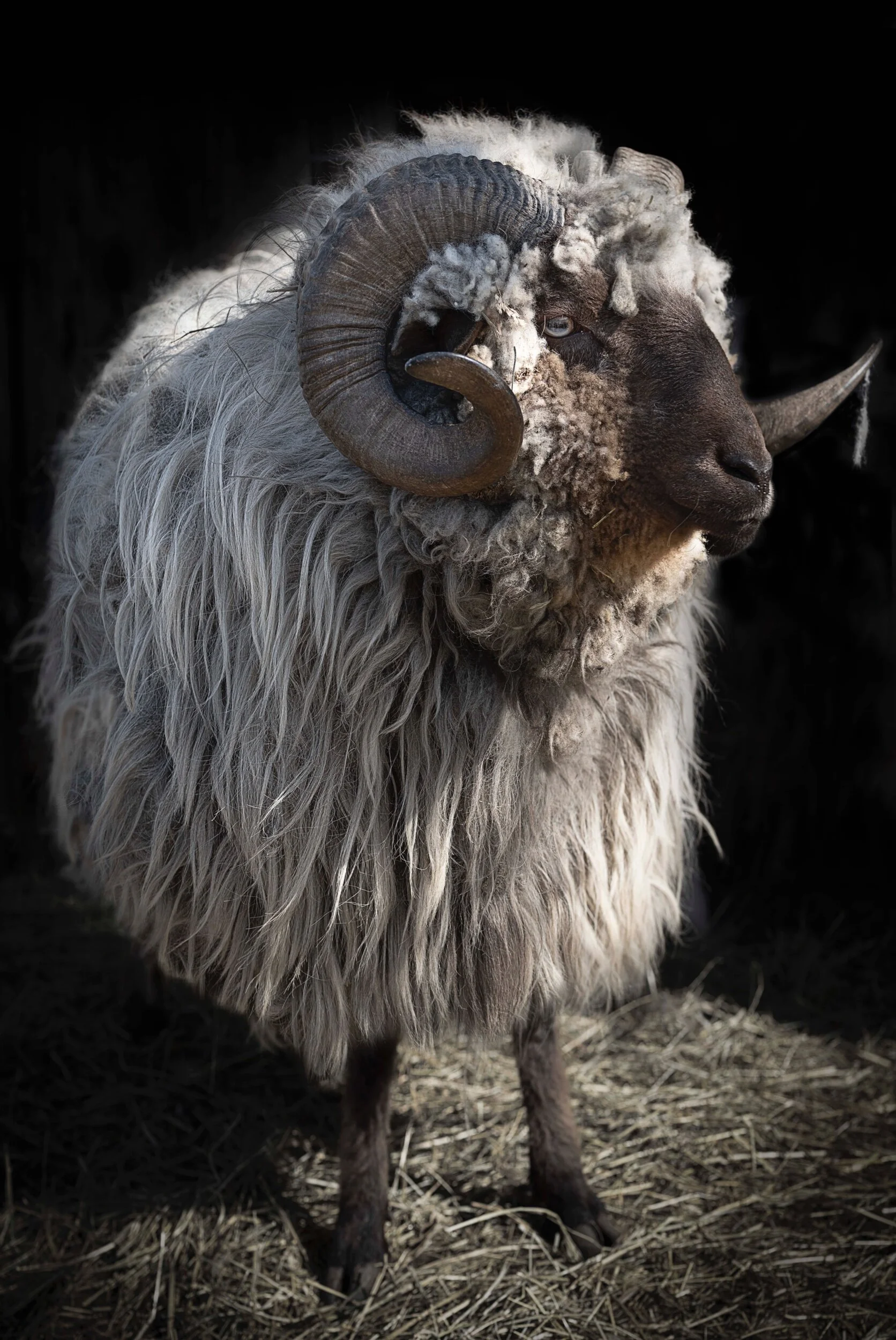 DSCF0022- print 60 x40 !!!! .jpeg