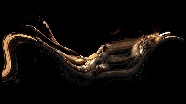 Abstract Lions-low.gif