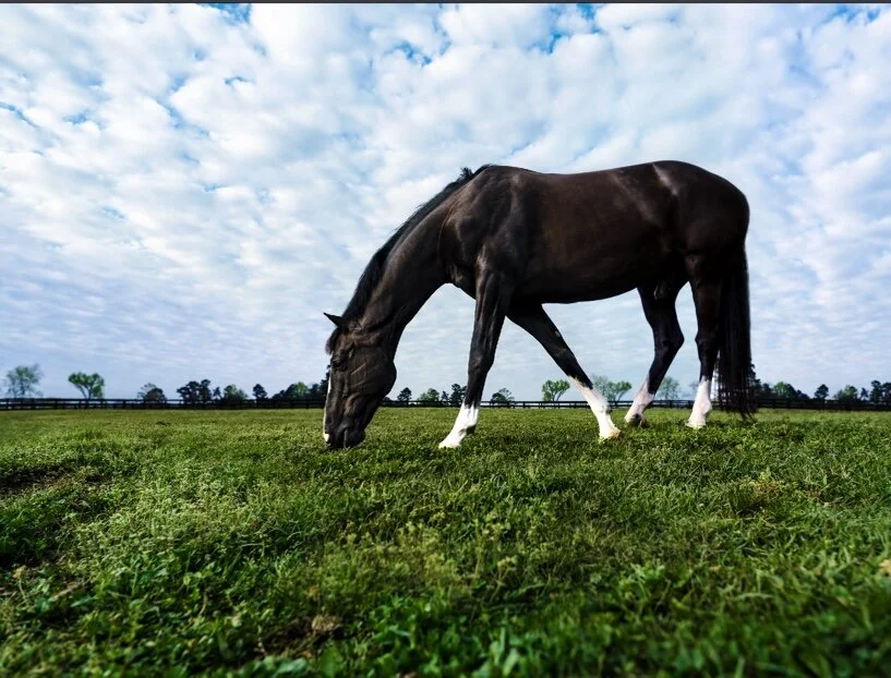 Image 8-18-21 at 2.02 PM.jpeg