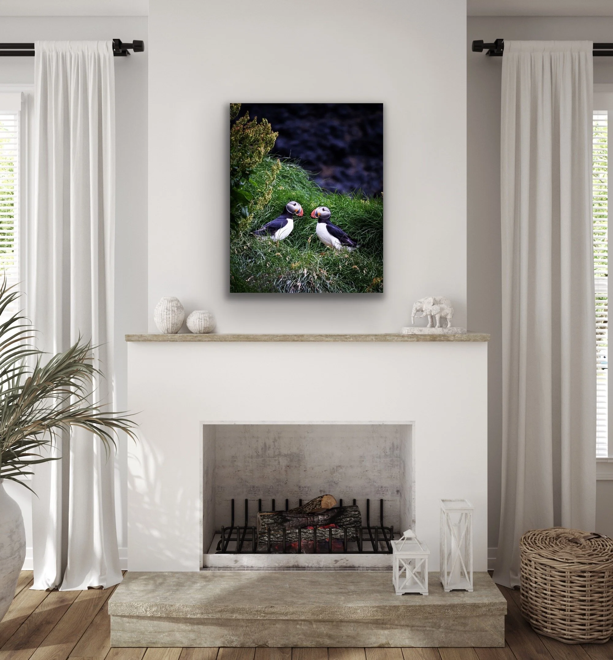 Puffins_20x30 in room.JPG