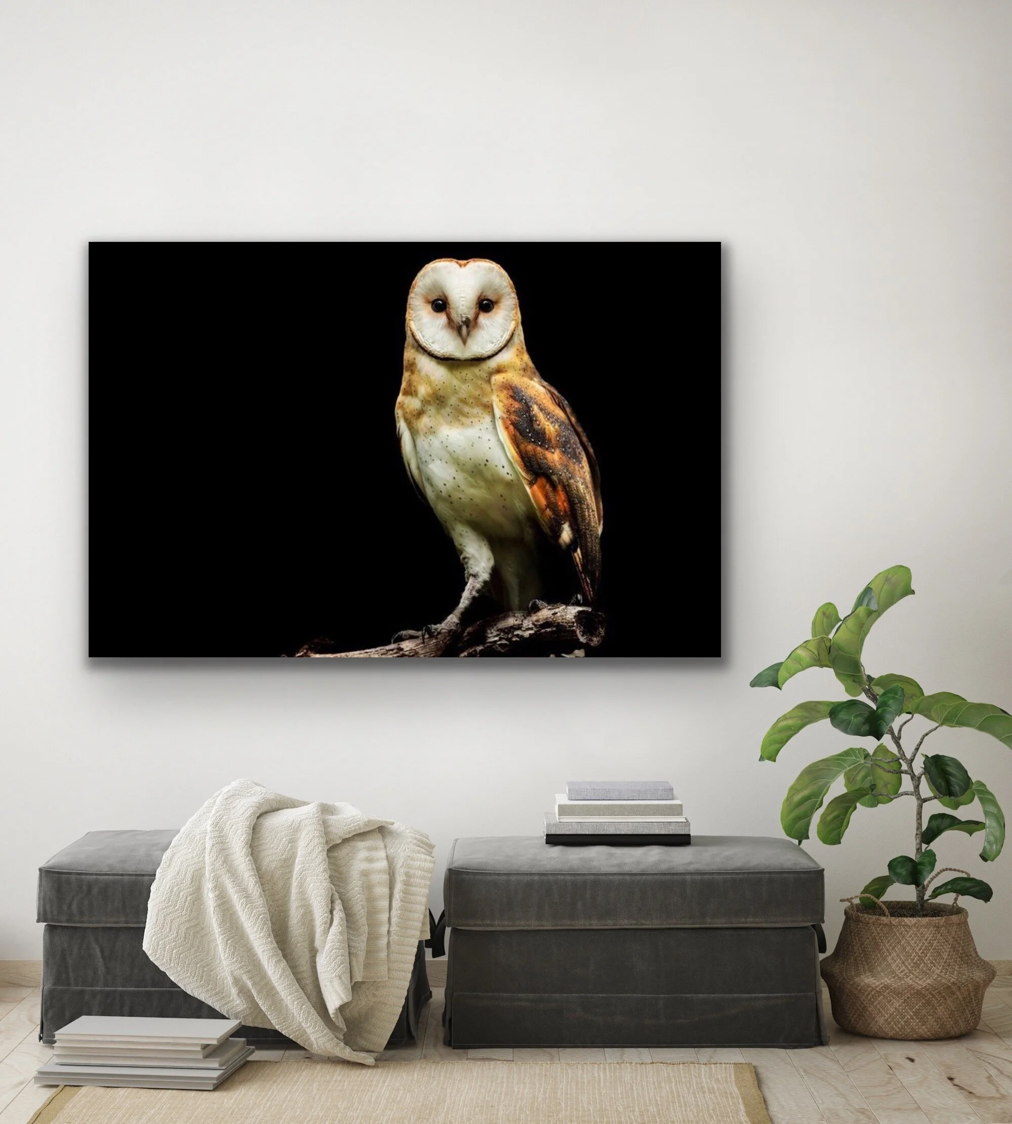 Oscar_40x60 in room.JPG