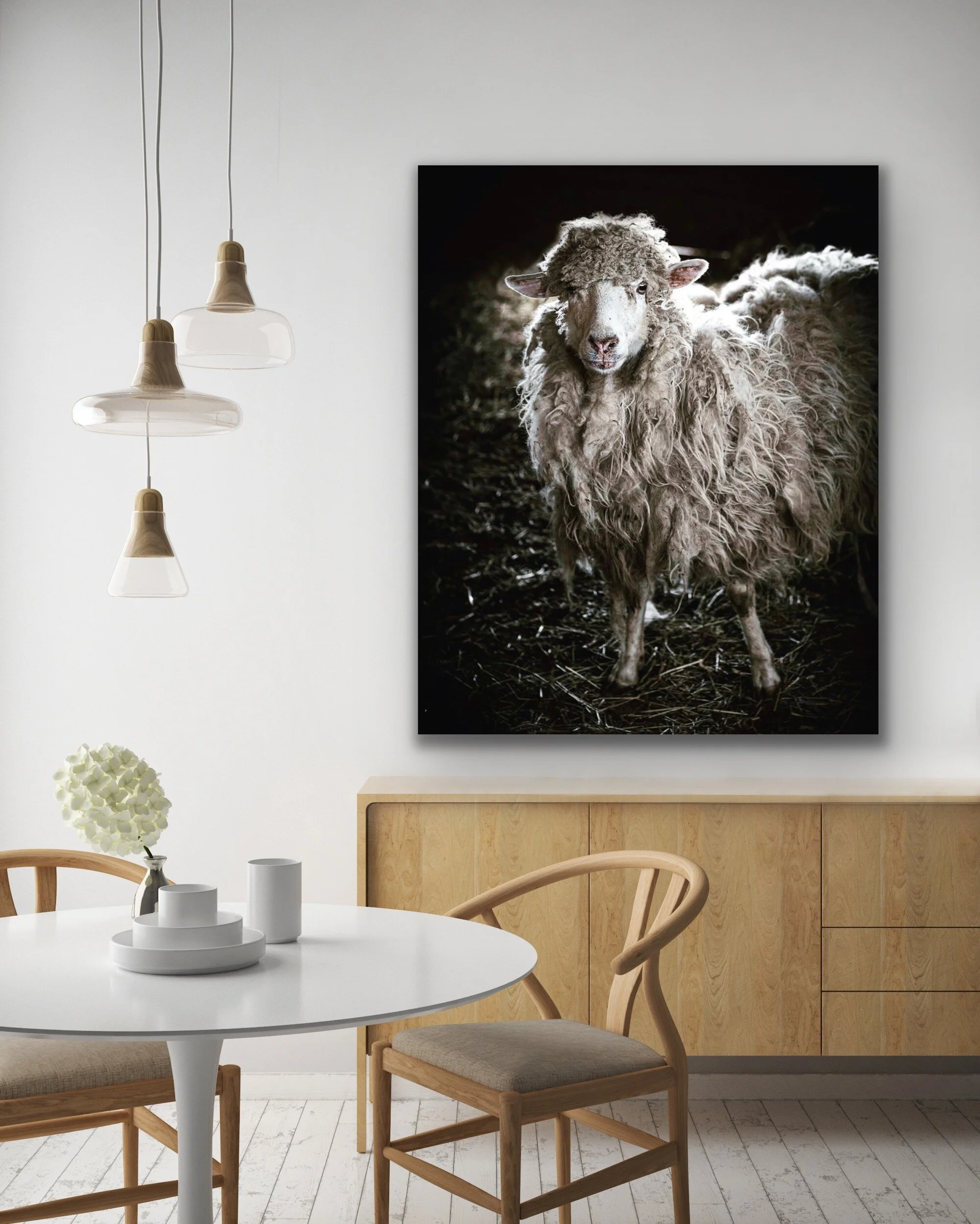 Goat Burlington VT_40x60 in room.JPG