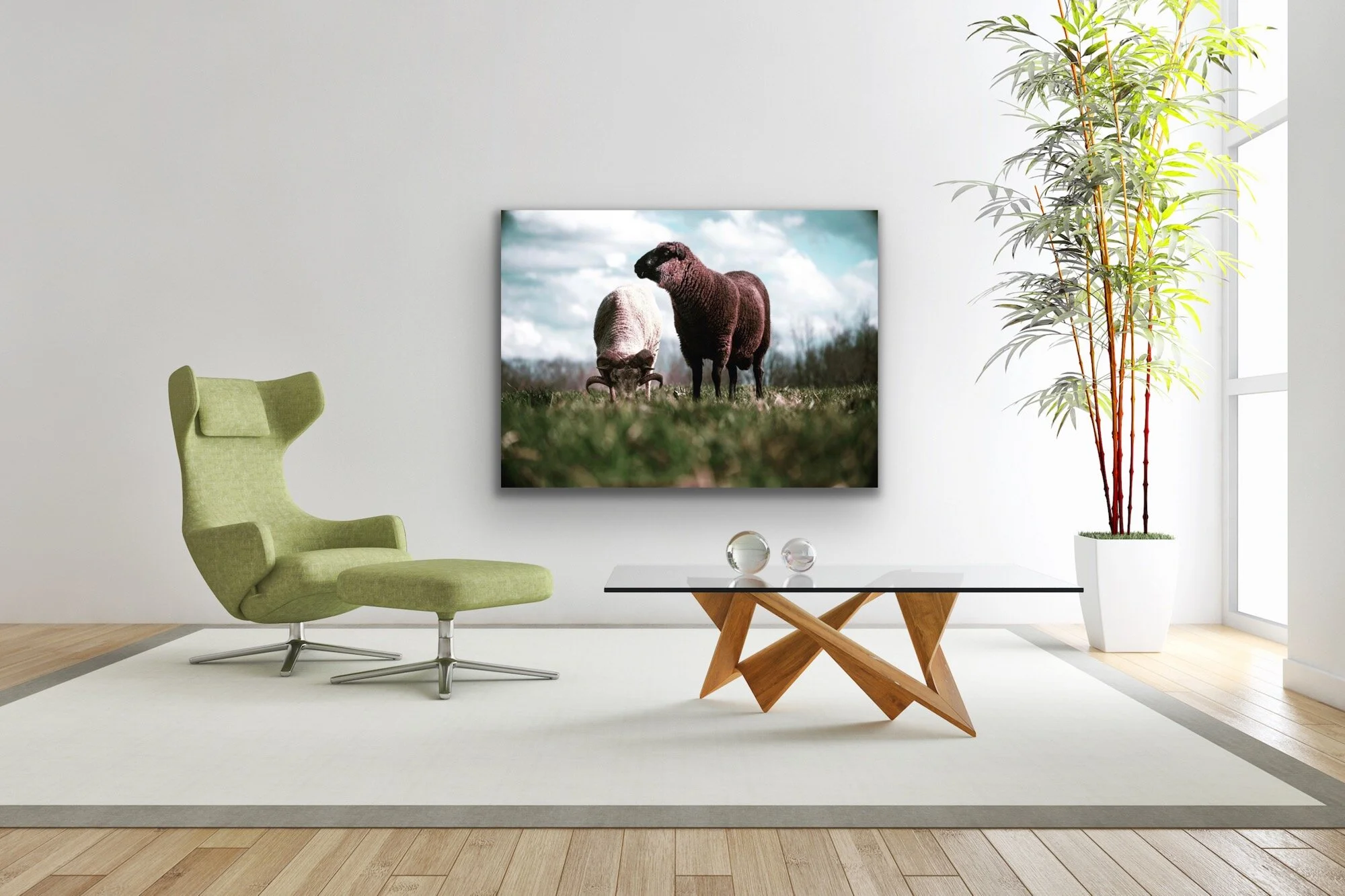 Goats Madison GA_40x60 in room.JPG