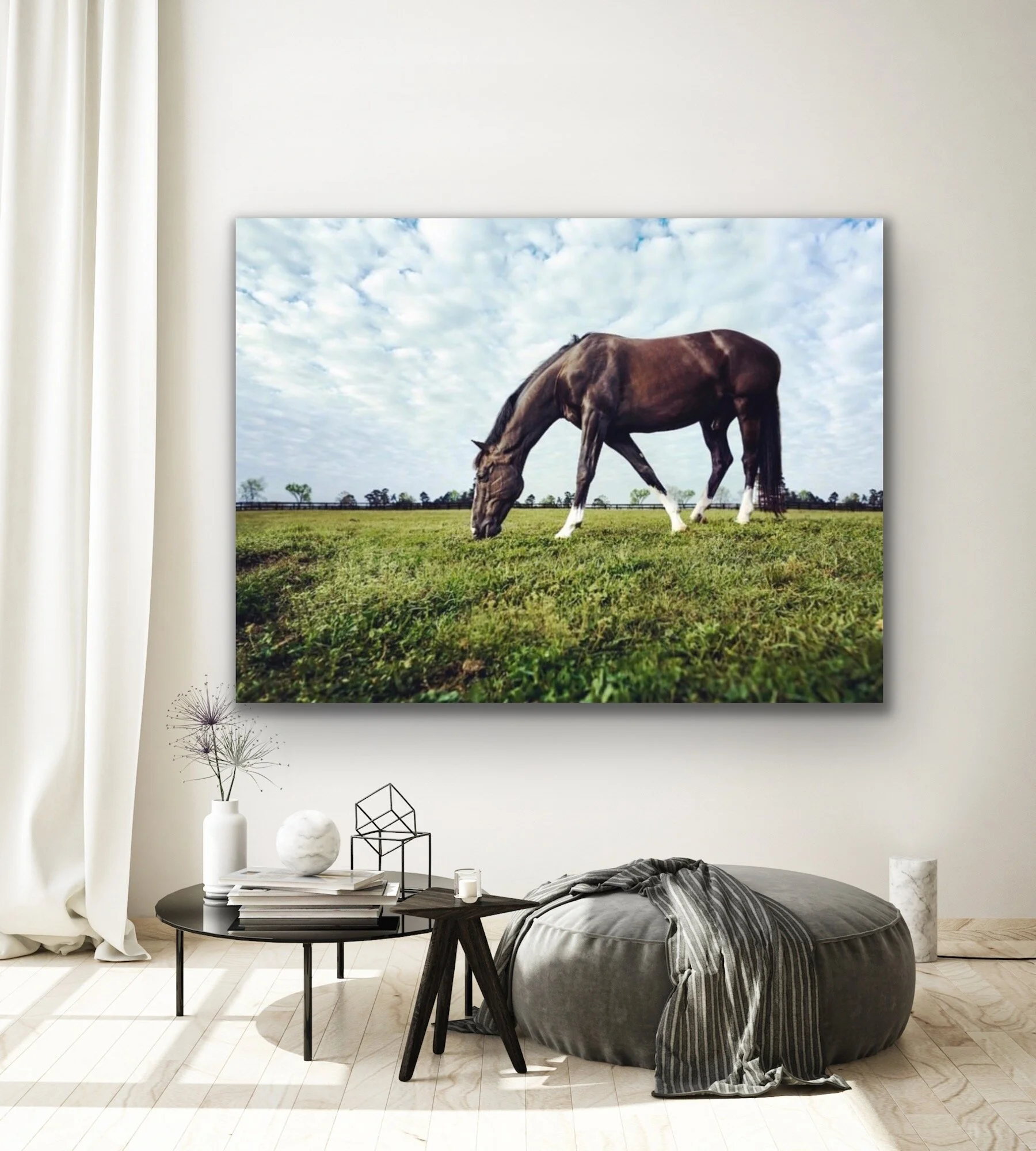 Horse_40x60 in room2.JPG