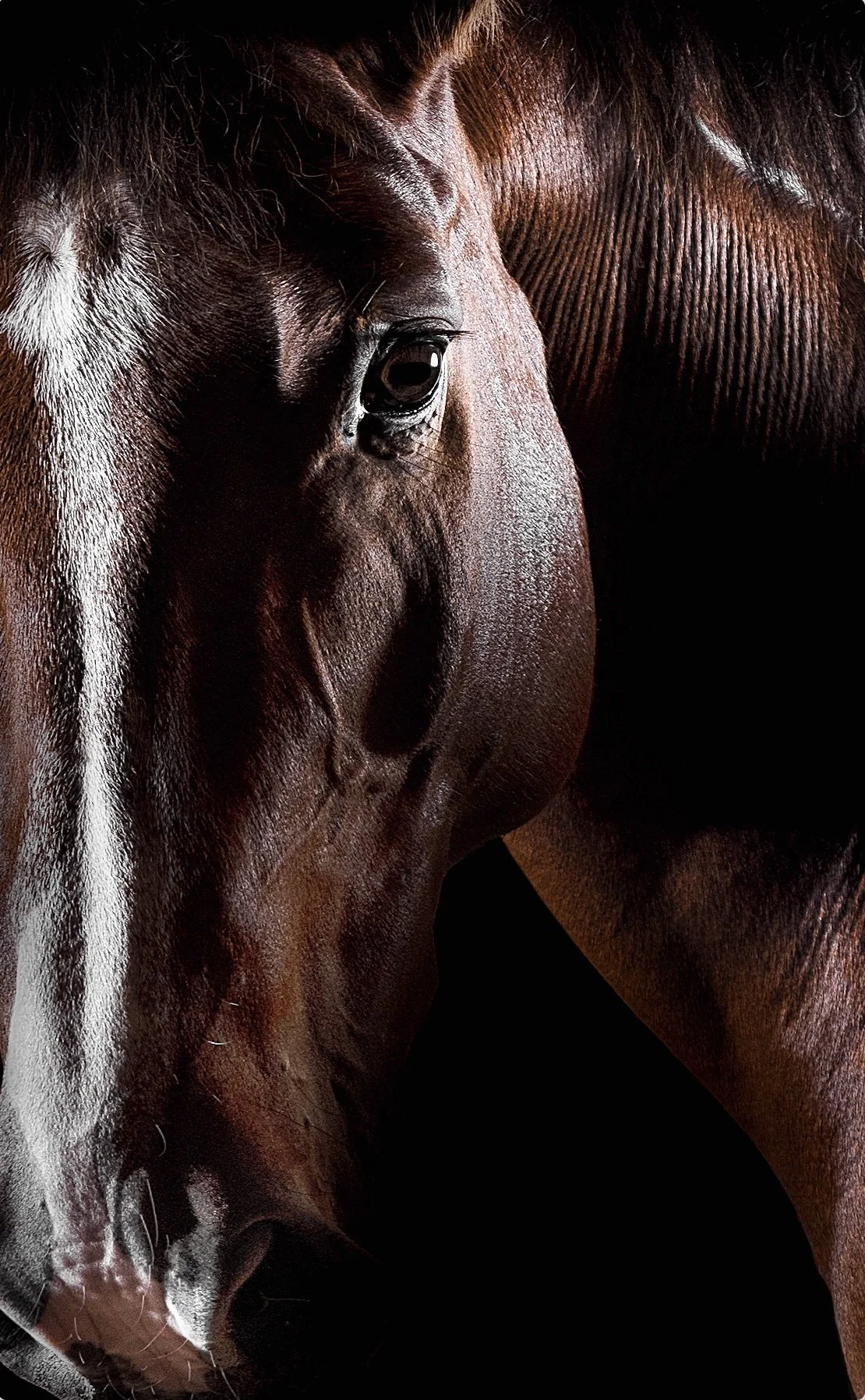 Screen Shot 2022-02-26 at 6.06.32 PM.jpeg