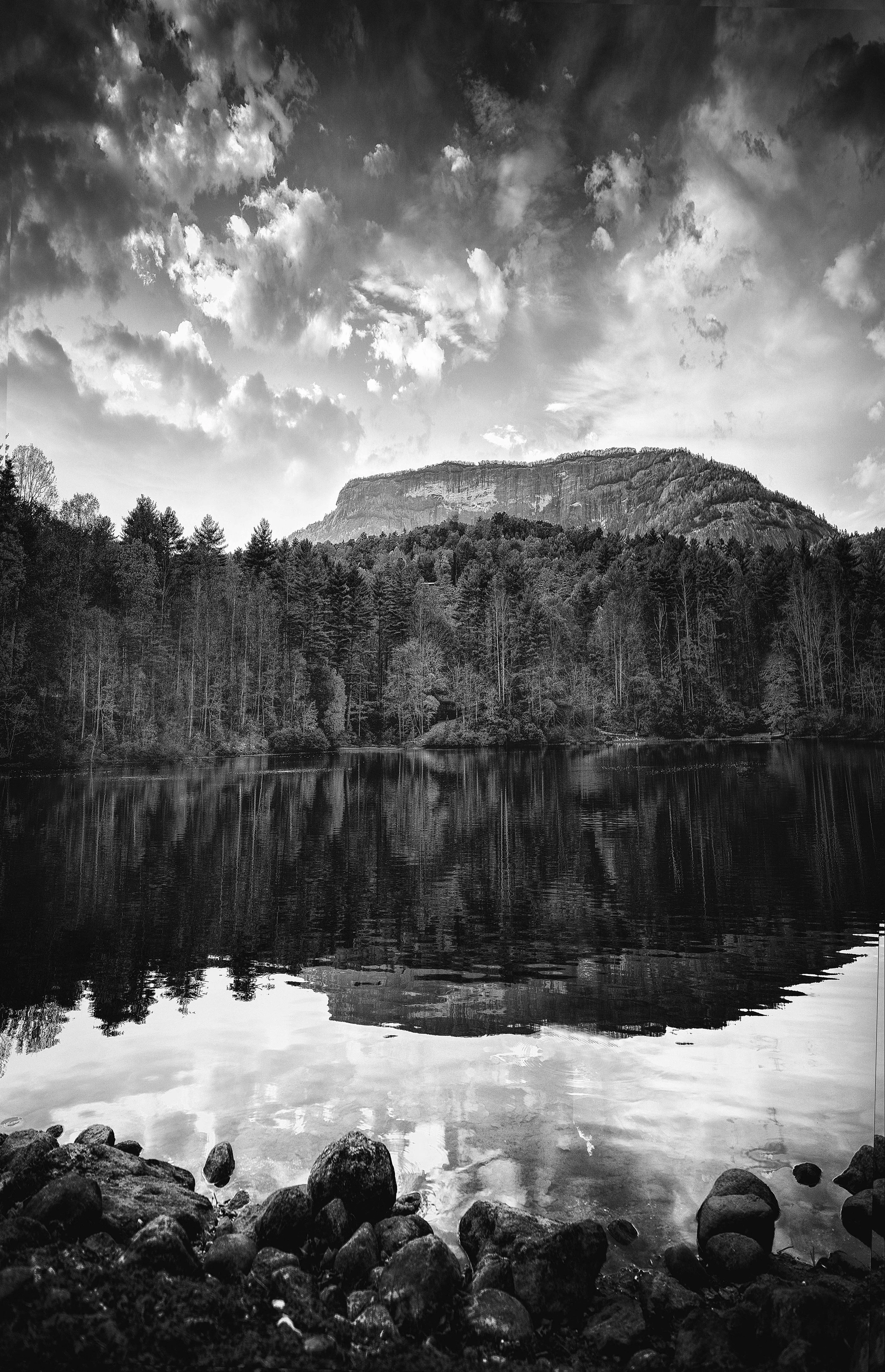 3amsel adams 1_DSF6193_Balanced.jpeg