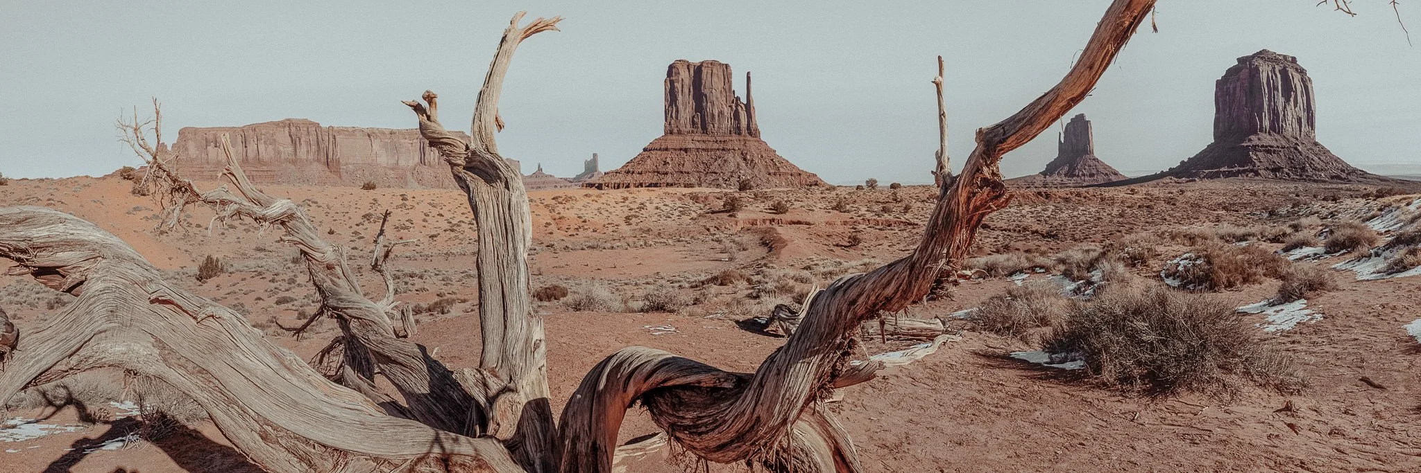 the view tree for doug .jpg