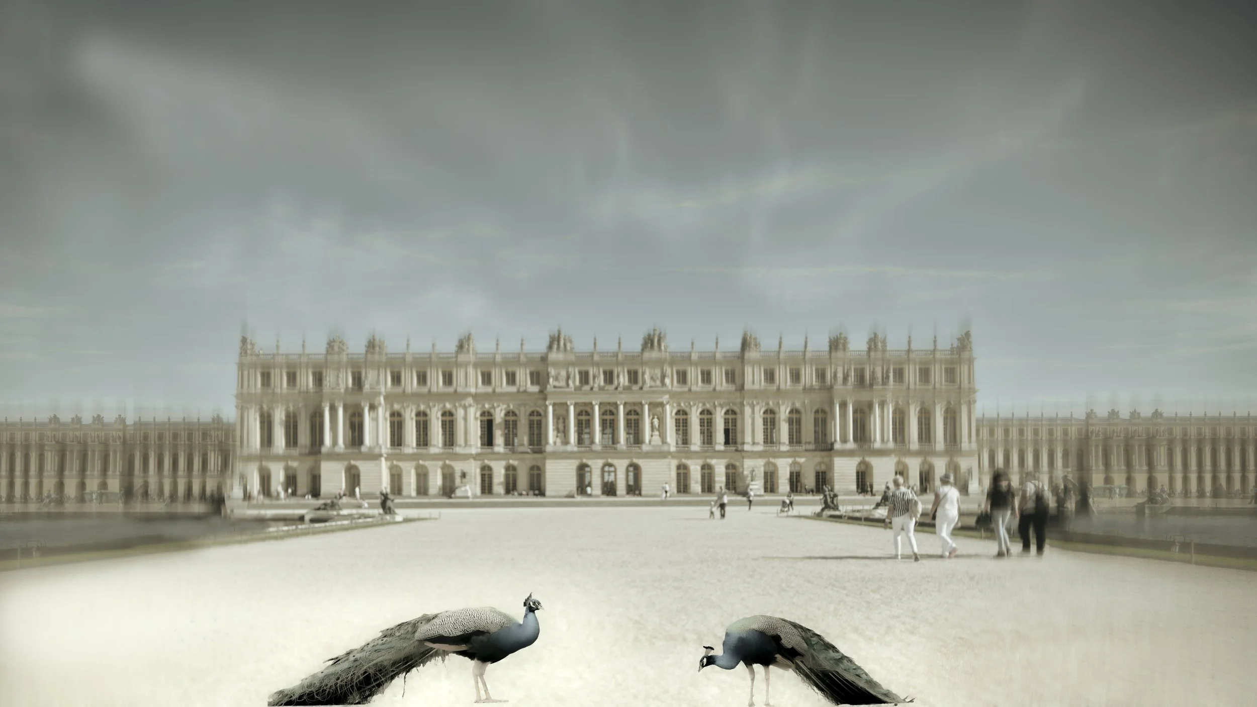 tilt shift peacock versaillles base DSCF6974 copy.jpeg