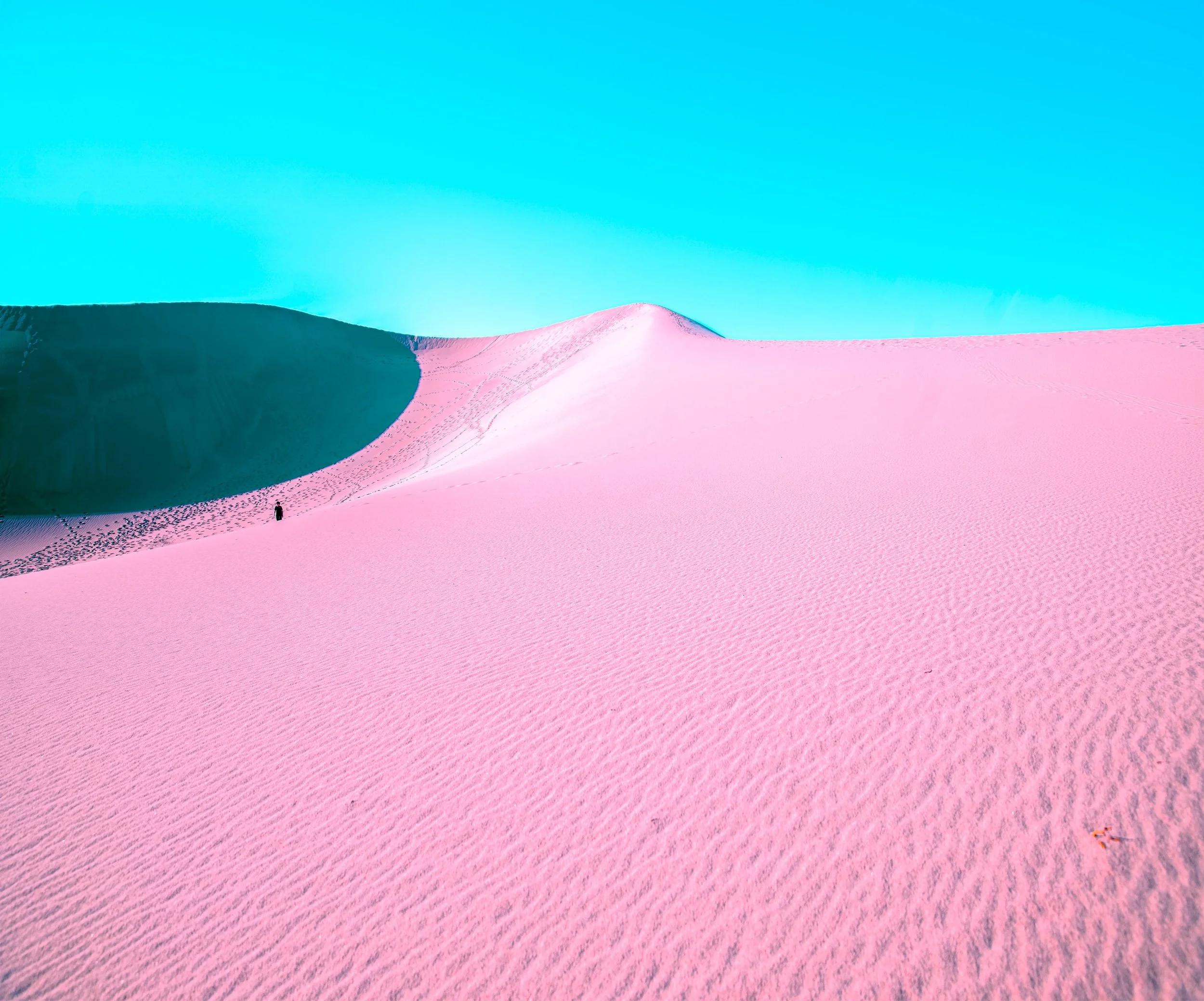 fin dunes DSC05676-3.jpeg