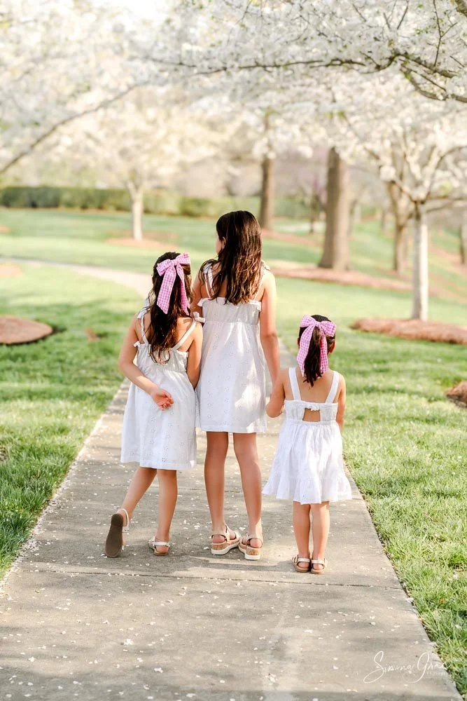 Cherry Blossoms15.jpg