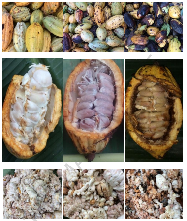 Are You Embarrassed By Your cocoa beans Skills? Here's What To Do