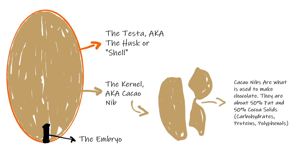 You Can T Make Chocolate Without Cocoa Beans Bean To Bar World