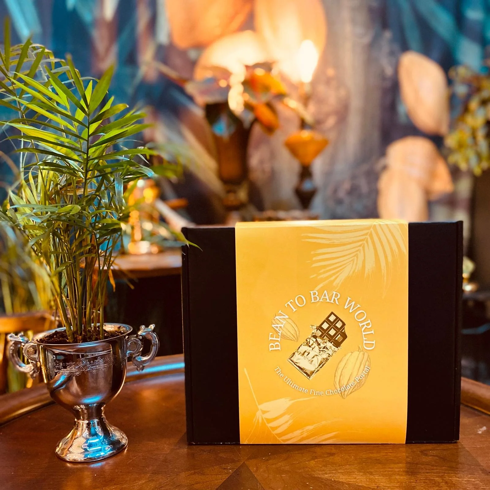 bean to bar world new box2.jpg