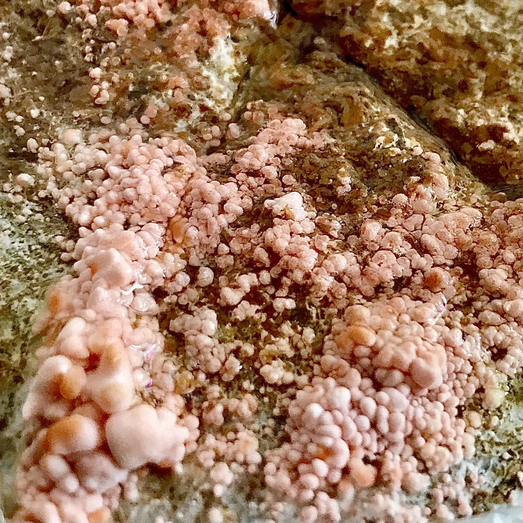 Taking Earthy Notes To A New Level