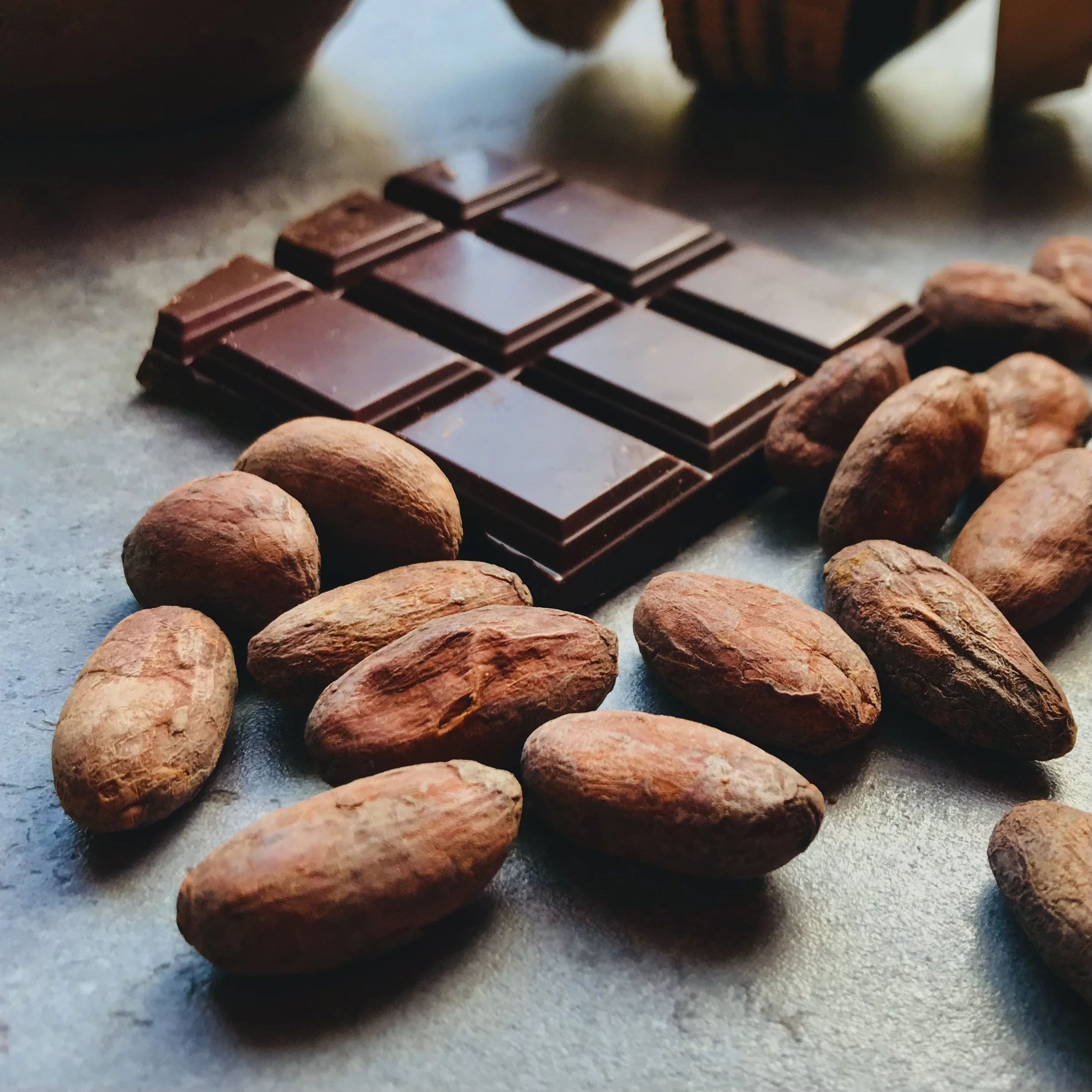 cocoa beans and dark chocolate.JPG