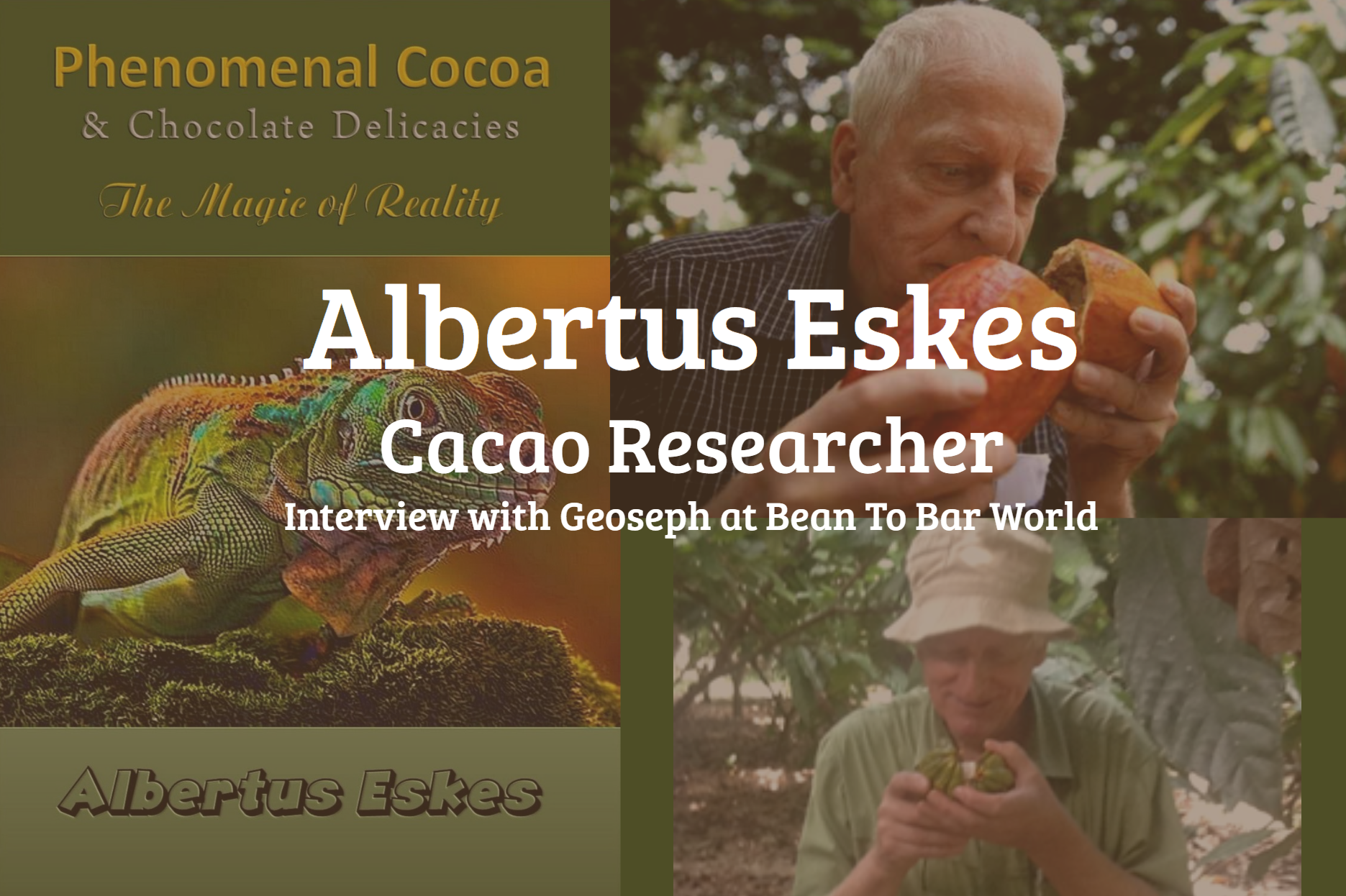 New Video: Interview With cacao researcher Albertus Eskes