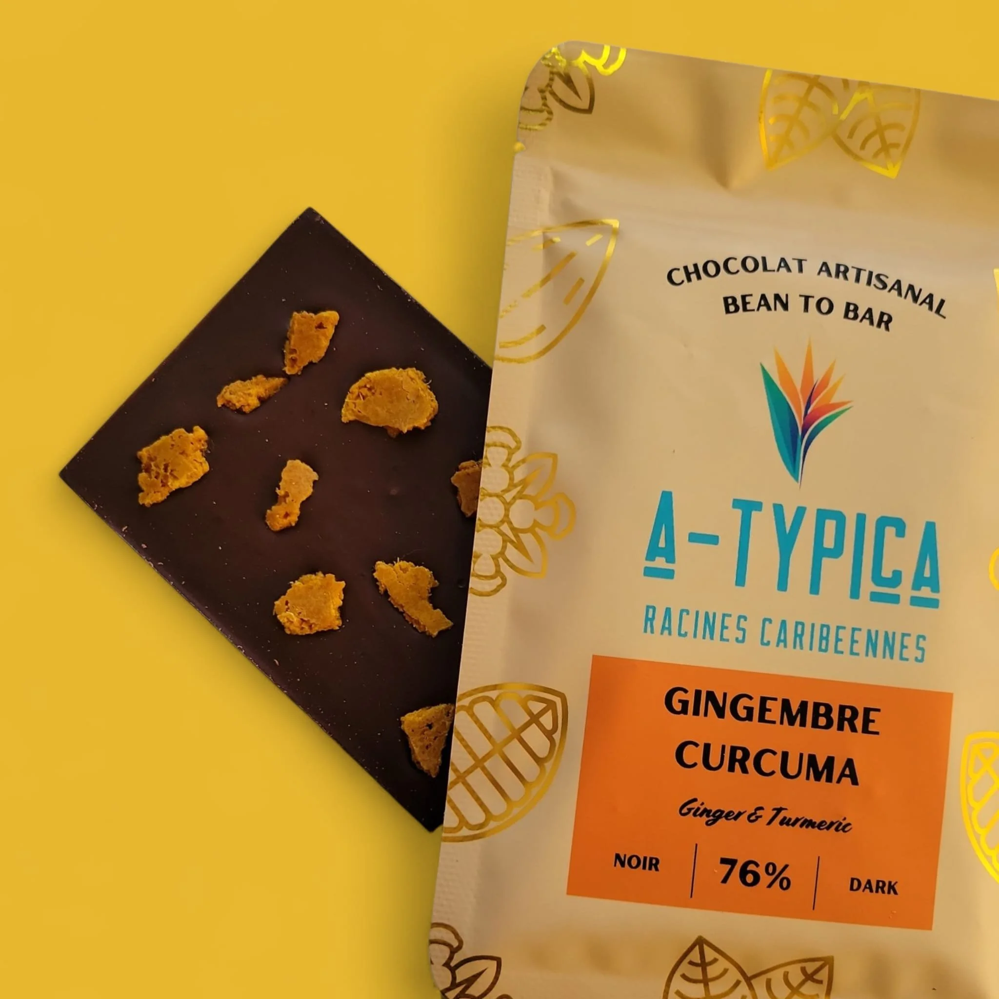 Atypica Ginger Inside.jpg