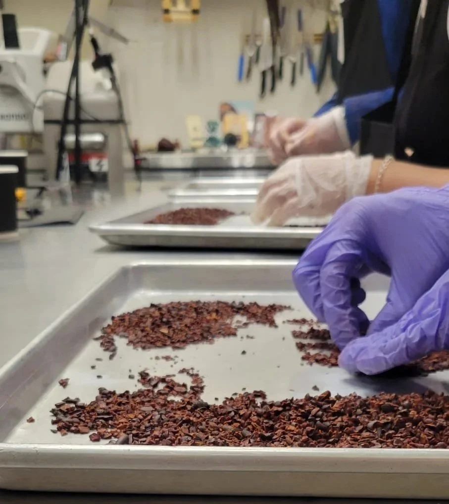 New Upcoming Tastings &amp; Chocolate Classes This Fall/Winter 2026 in YVR
