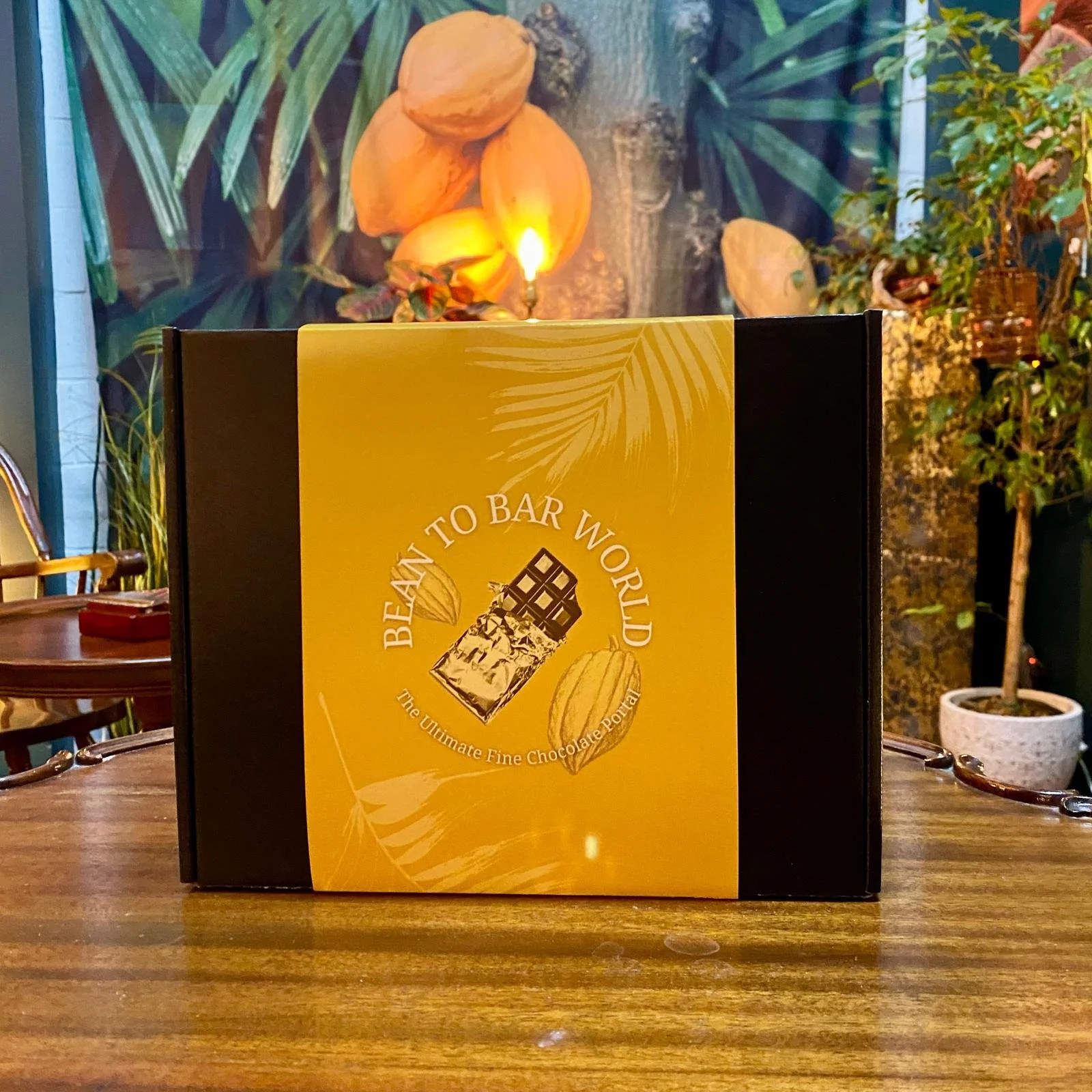 bean to bar world new box.jpg