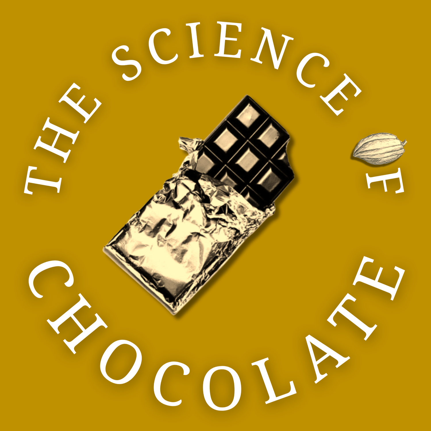 Understanding the structure of chocolate — Science Of Chocolate