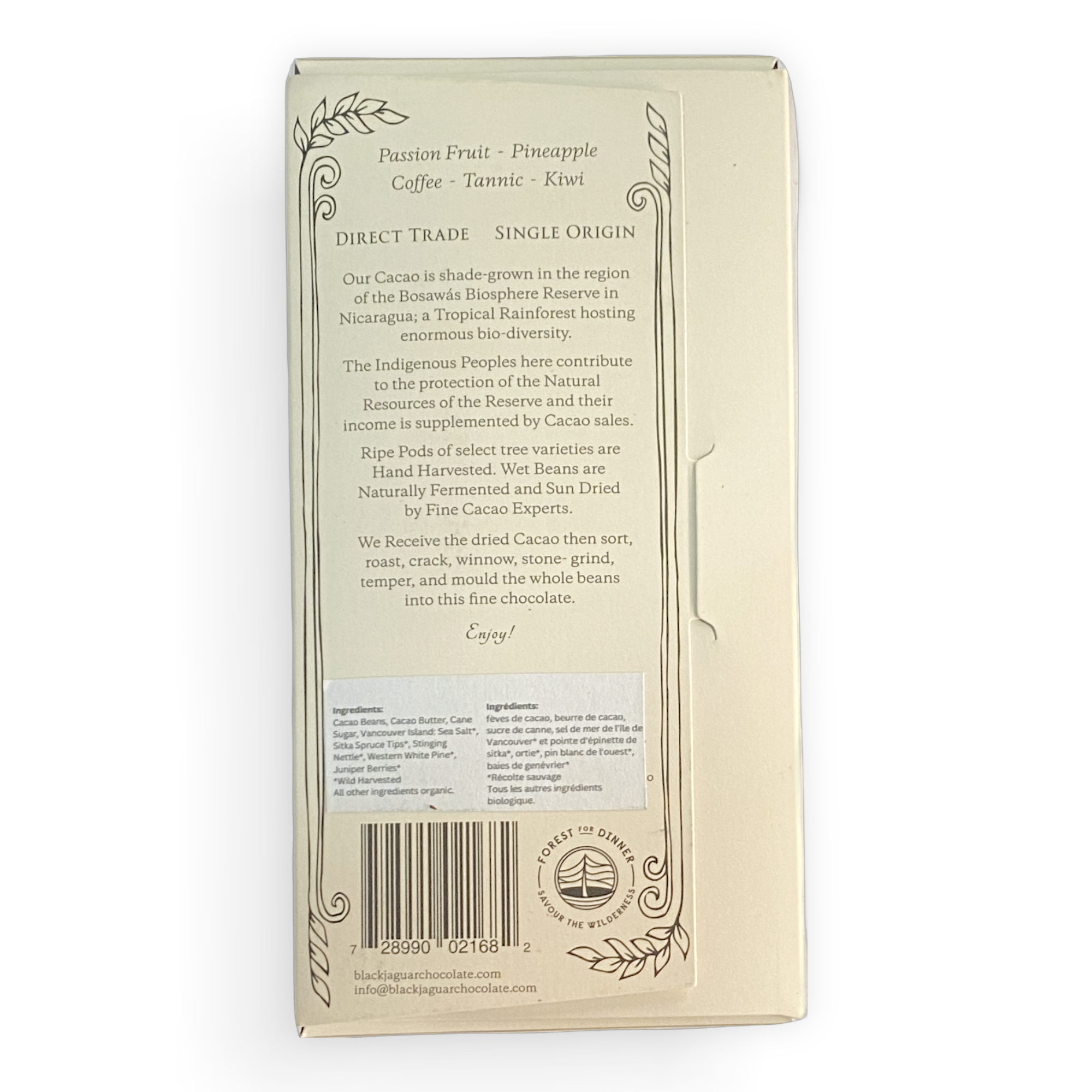 Black Jaguar Wild Forest Back.PNG