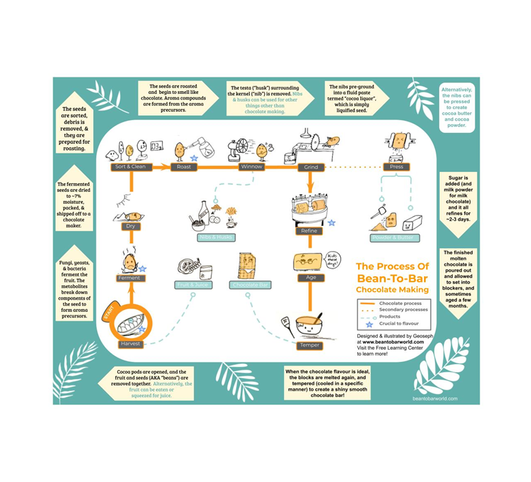The Bean-To-Bar Chocolate Process Illustration