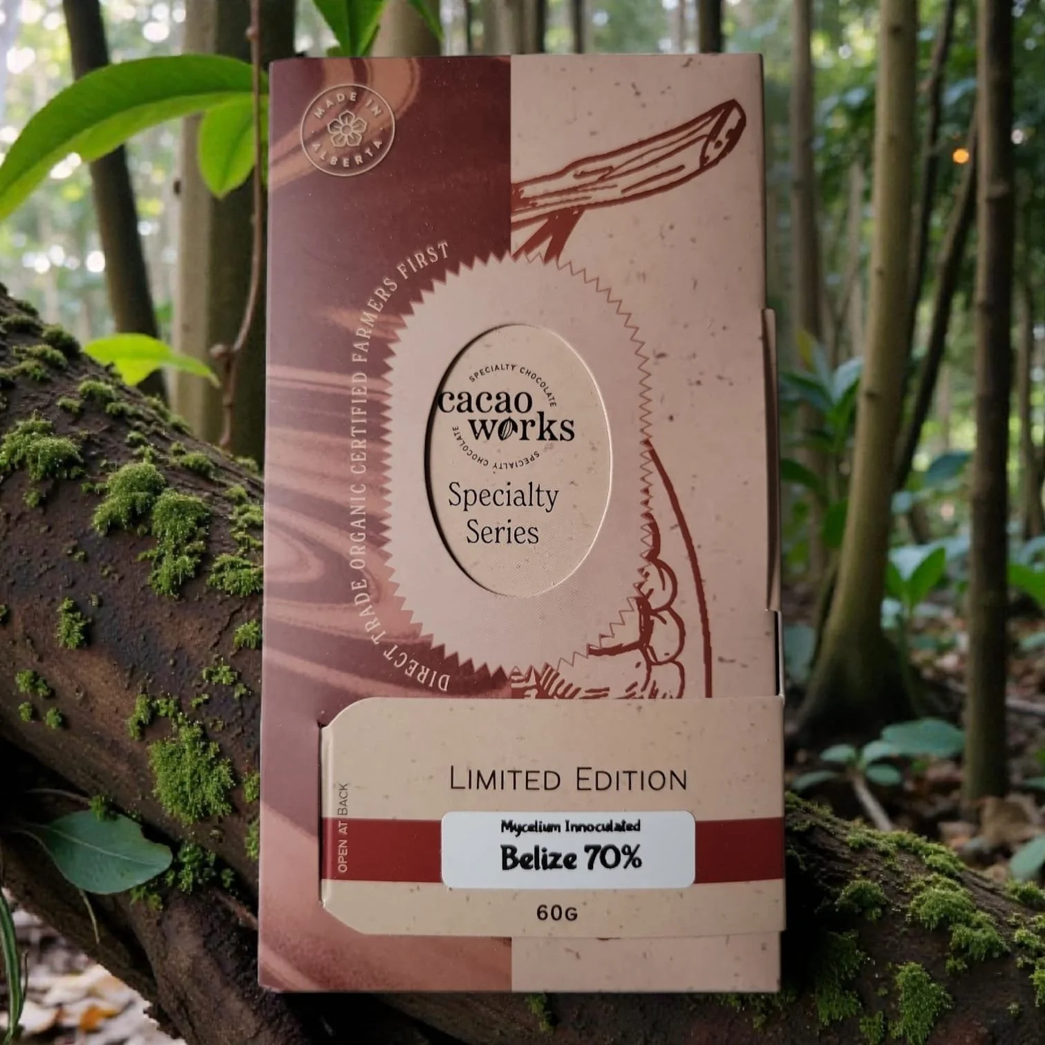 cacaoworks mycelium belize front 2.jpeg