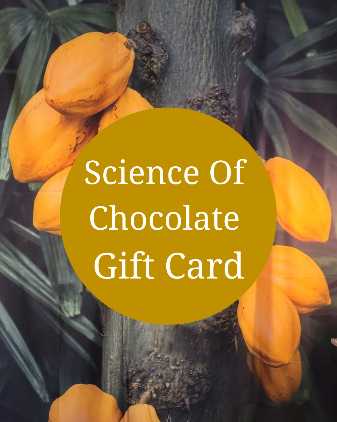 Science Of Chocolate Digital Gift Card