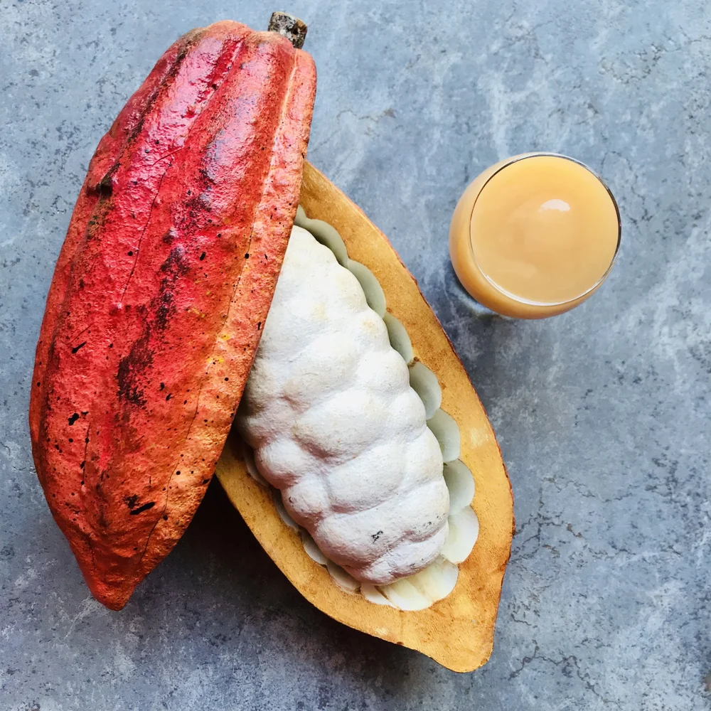 What does the cacao fruit taste like? — Bean To Bar World