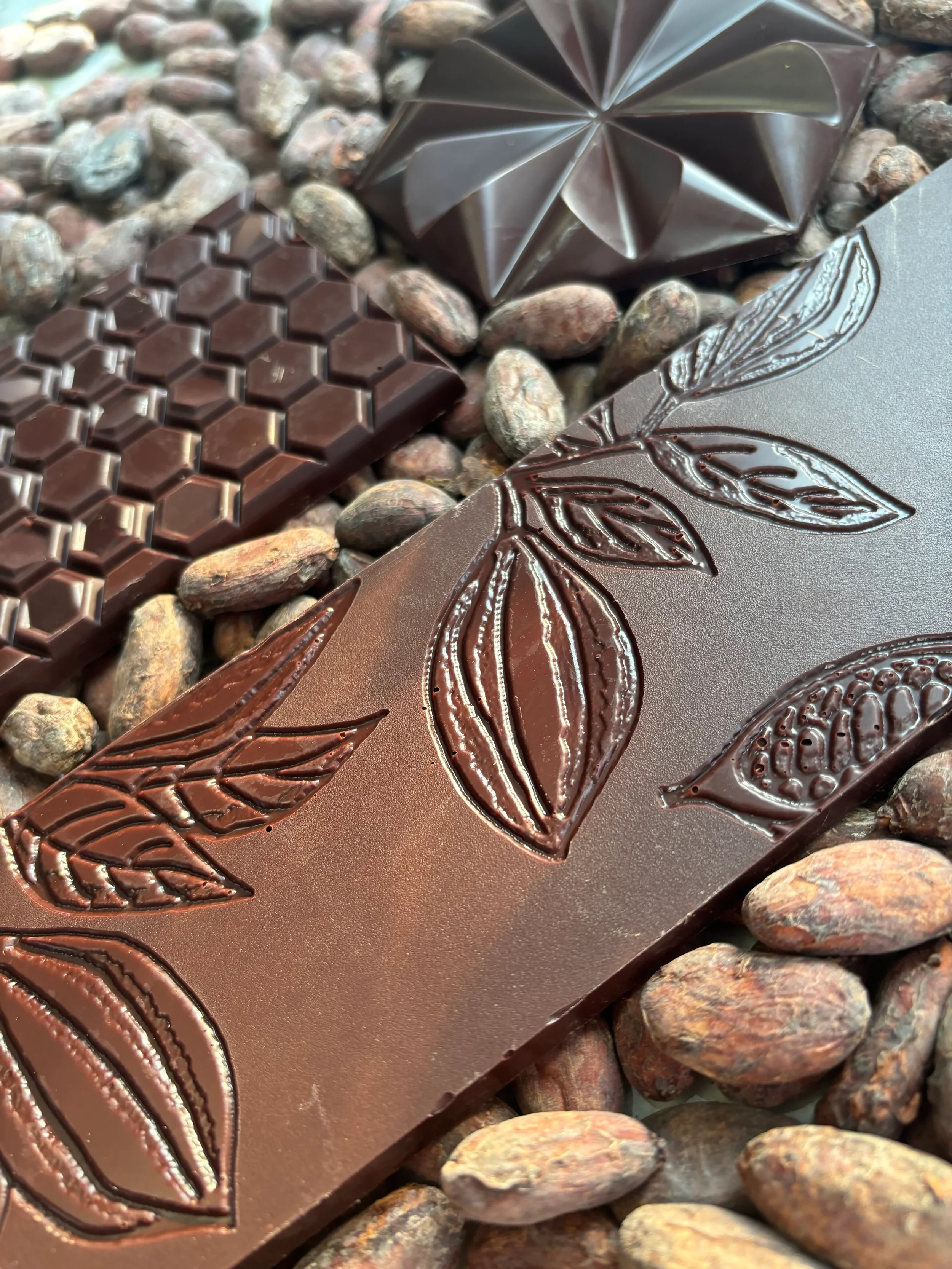 caro bolivia temp.webp