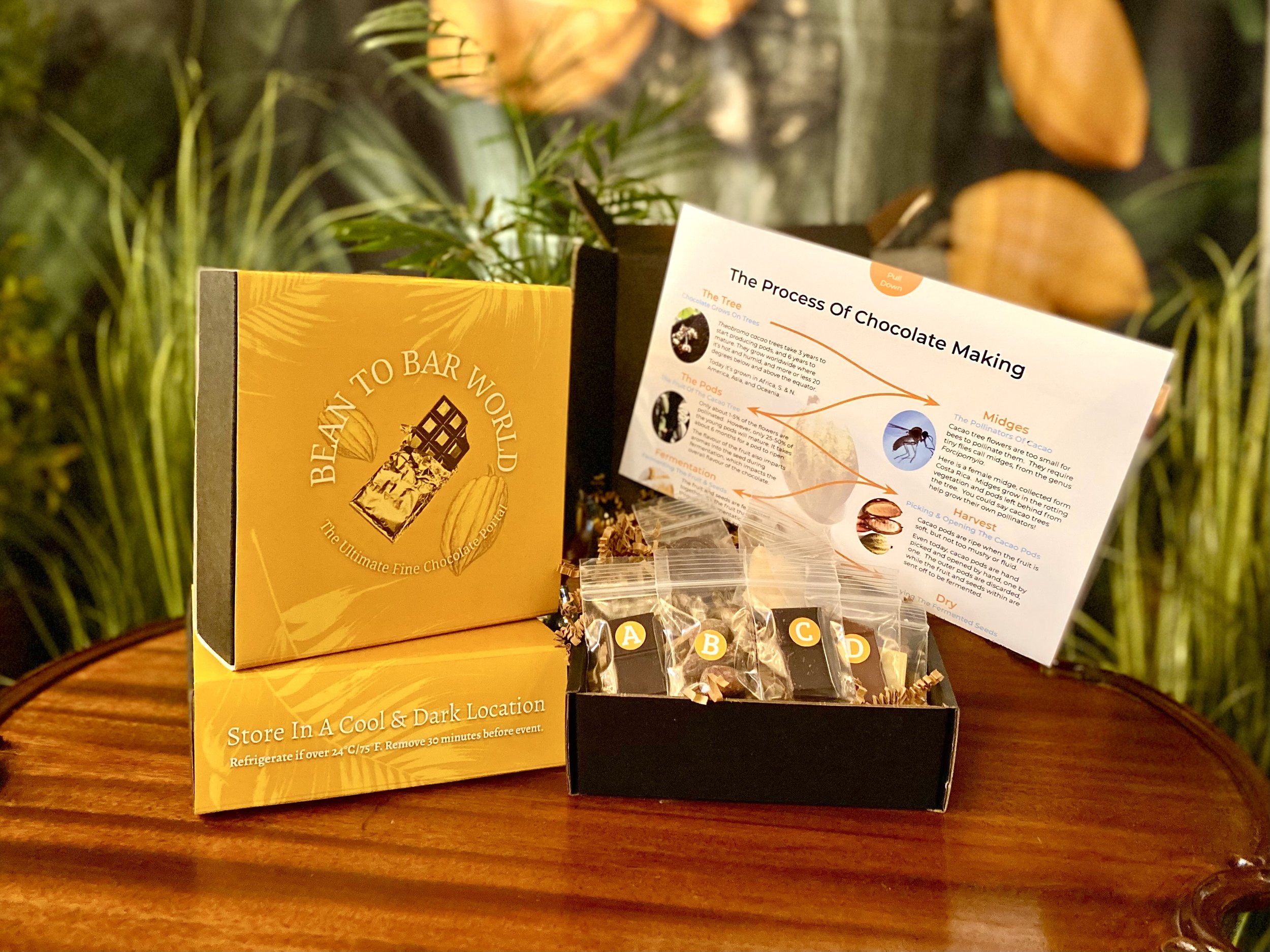 New Beautiful Virtual Chocolate Tasting Kits!